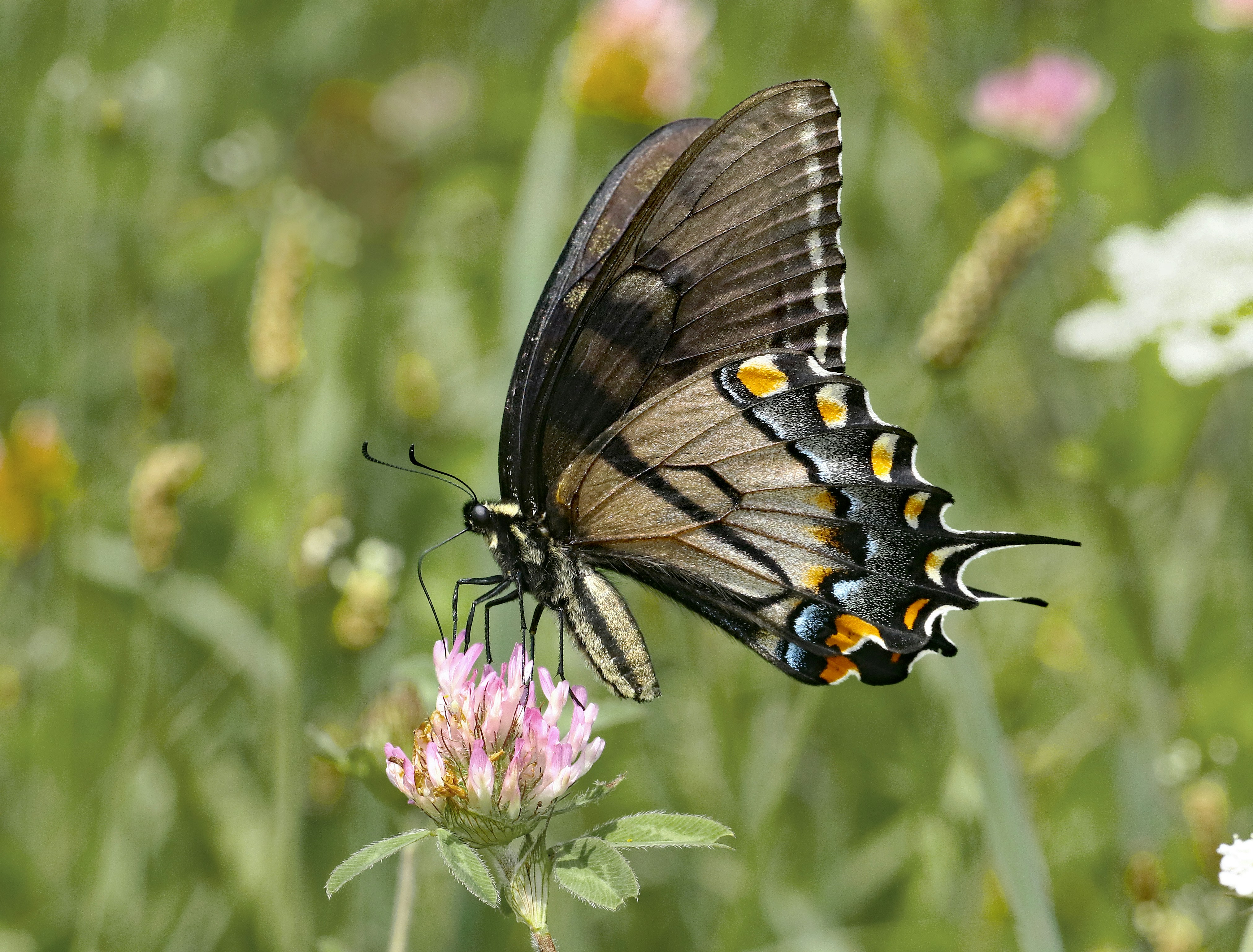 Photo by telliottmbamsc