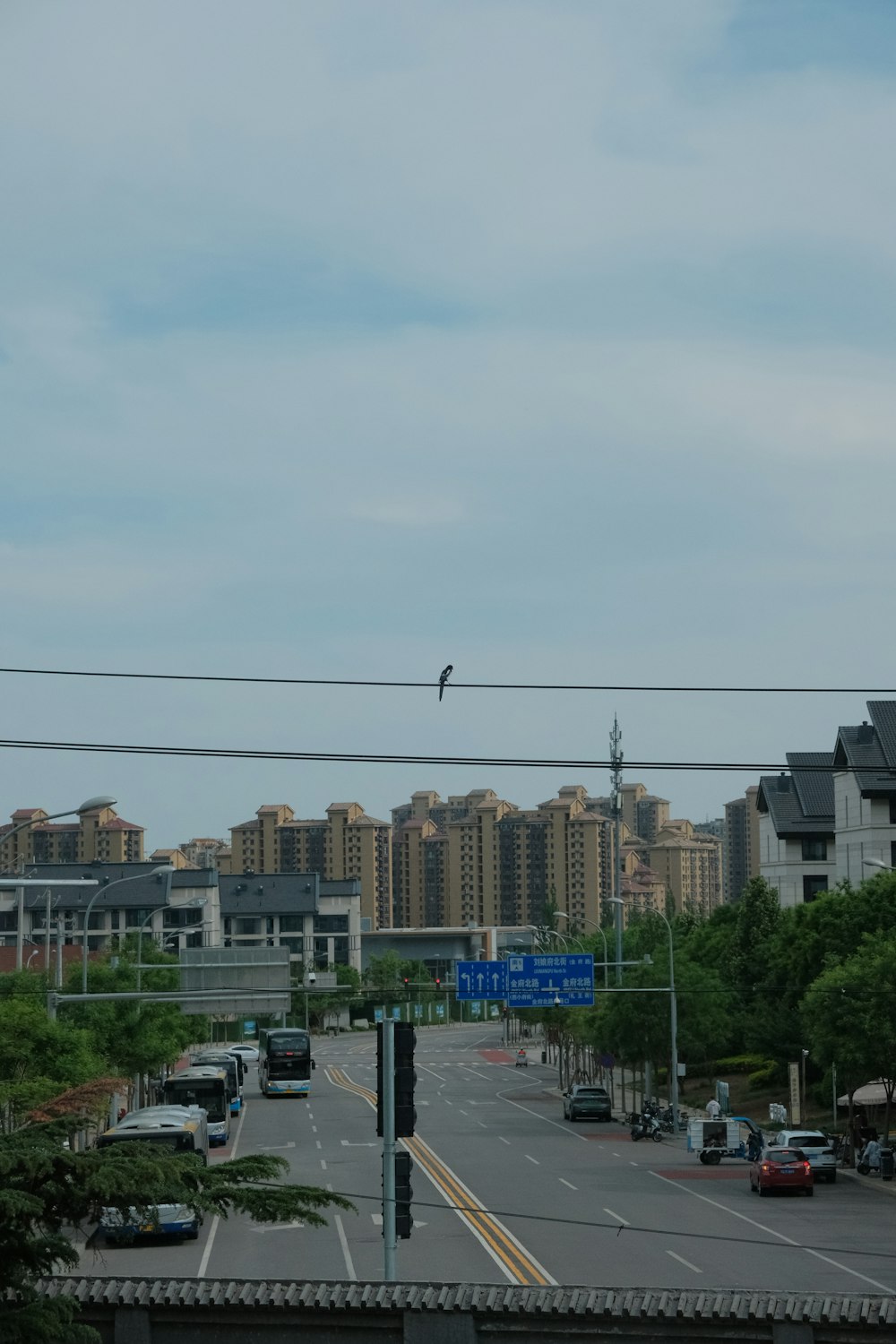 a city street with a bird flying over it