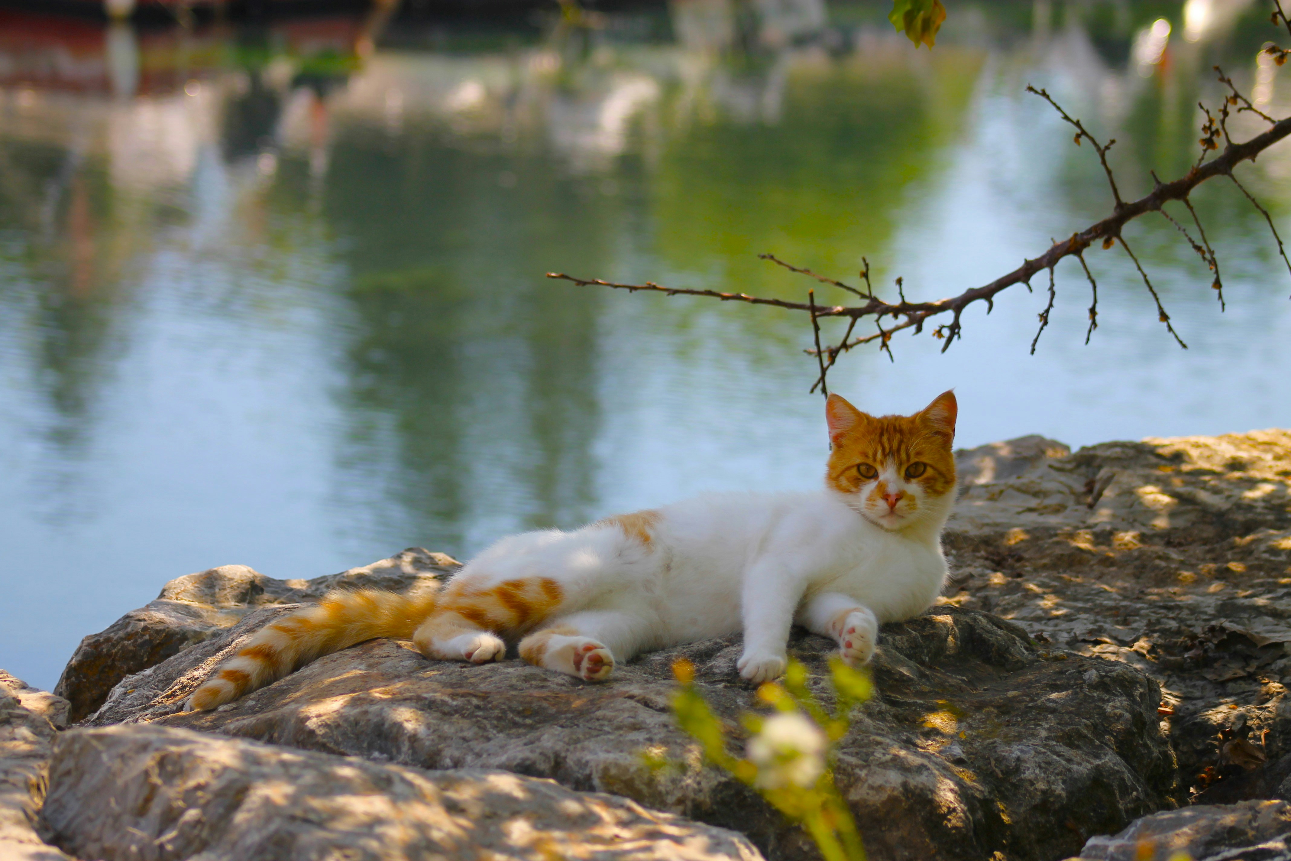 Photo by aliemreuzun