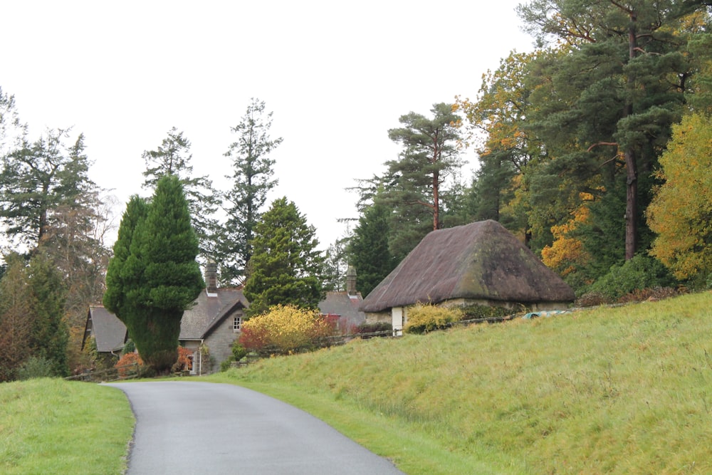 a country road with a thatched roof and trees in the background