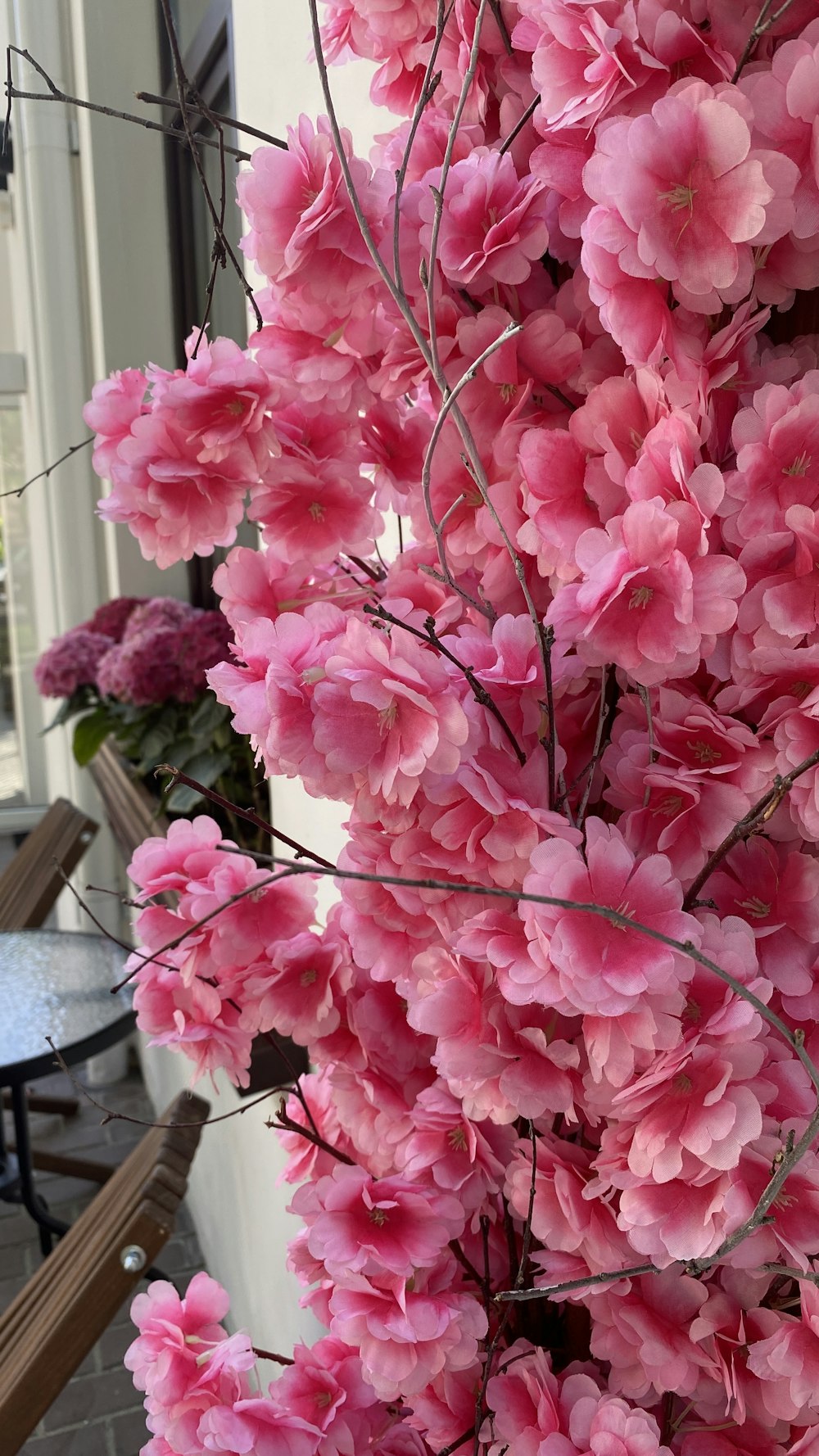 a bunch of pink flowers hanging from a tree