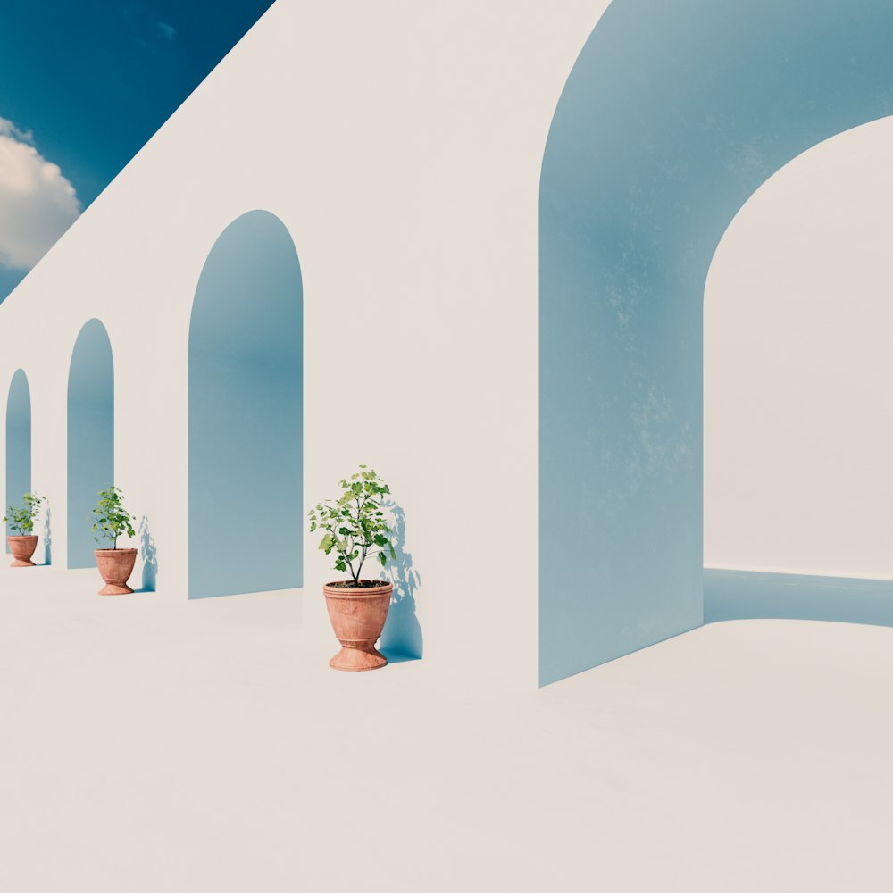 a row of potted plants in front of a white wall