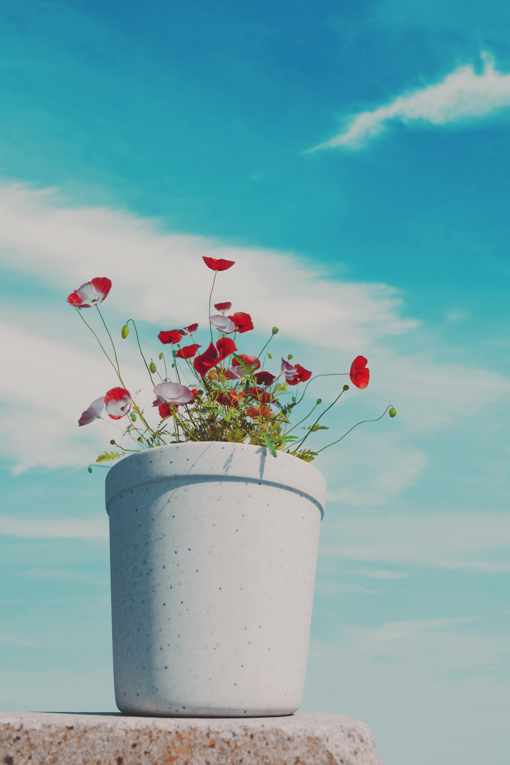 a potted plant sitting on top of a cement block