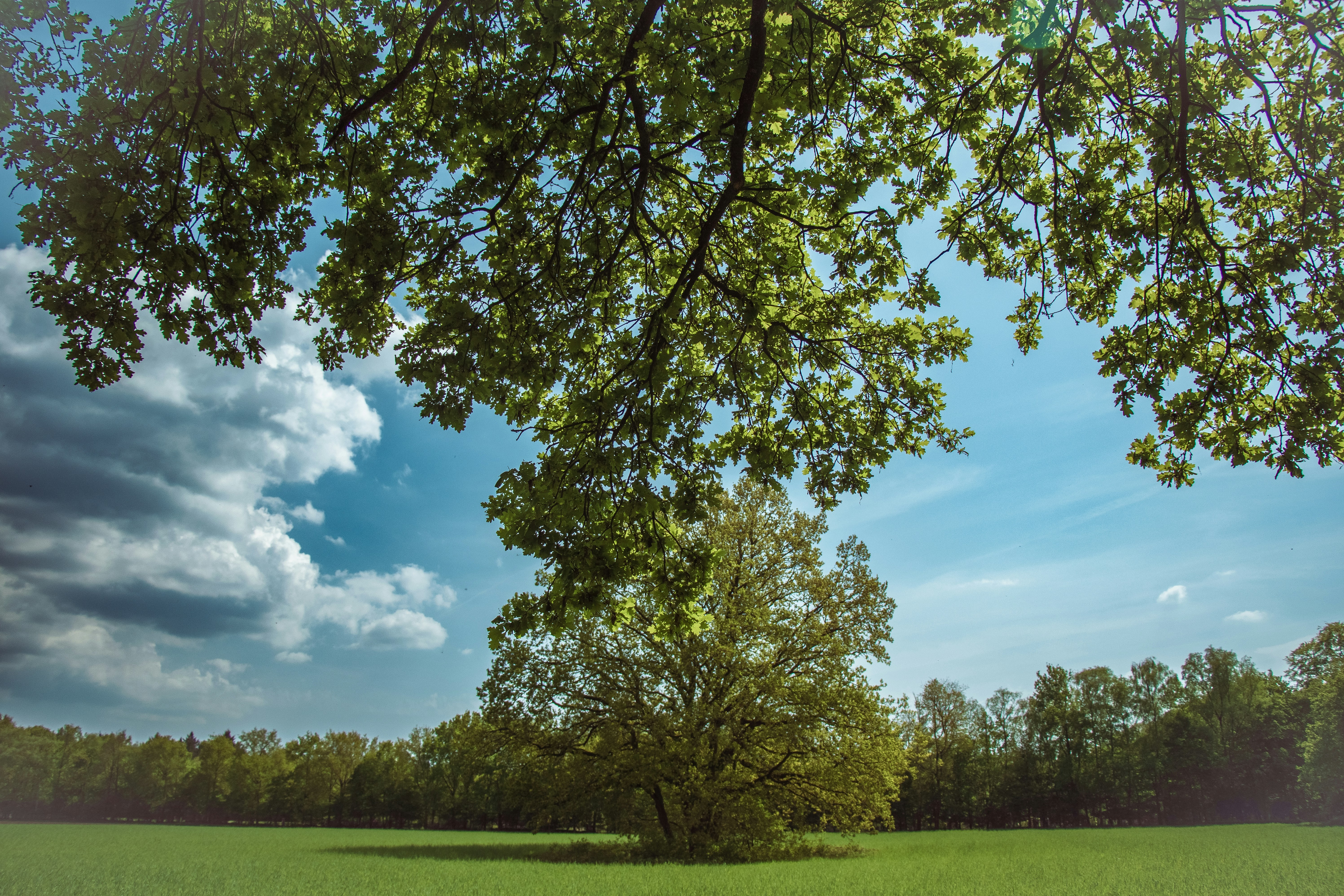 Photo by pizza_crust_slayer