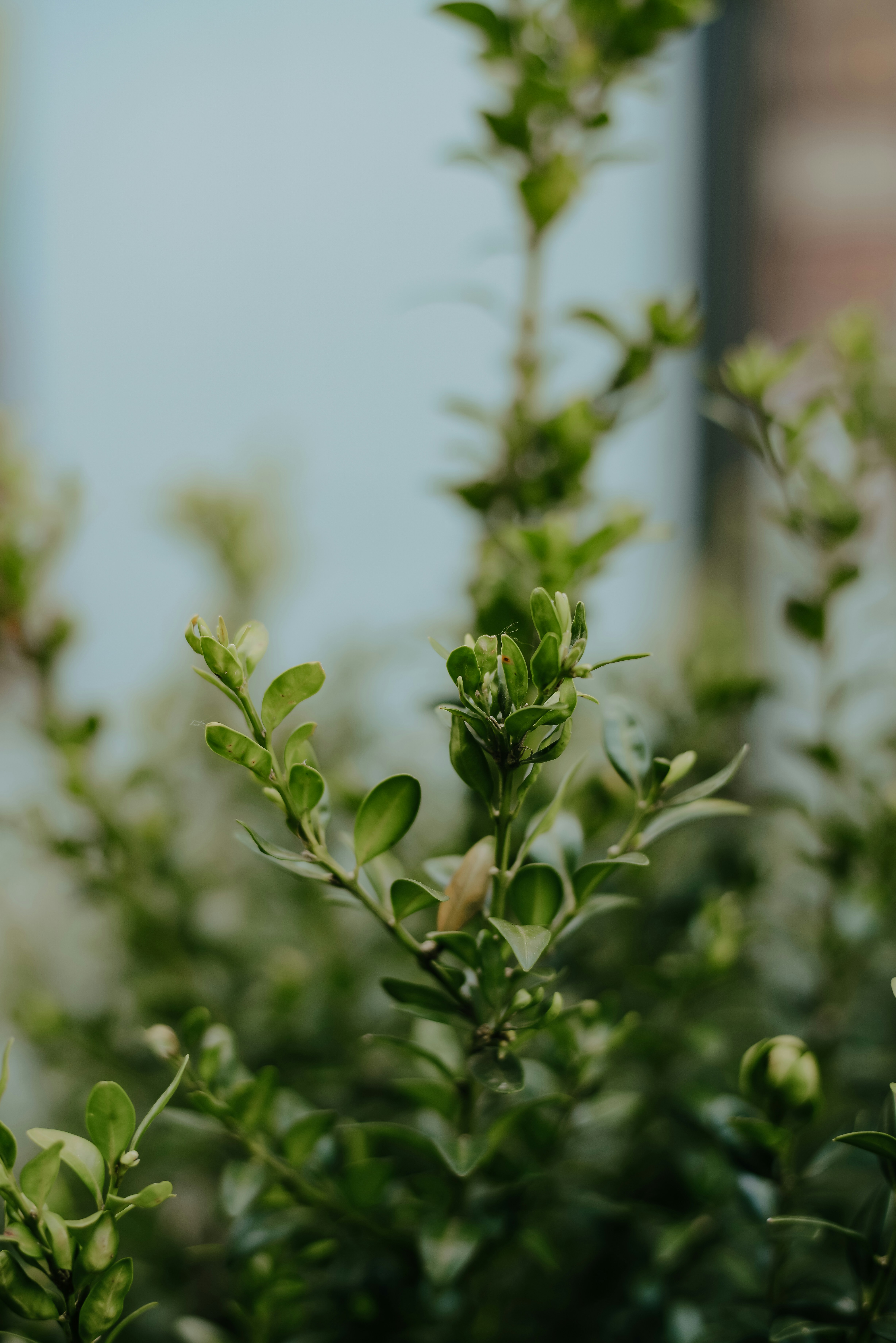 Photo by aleksandrazeberga