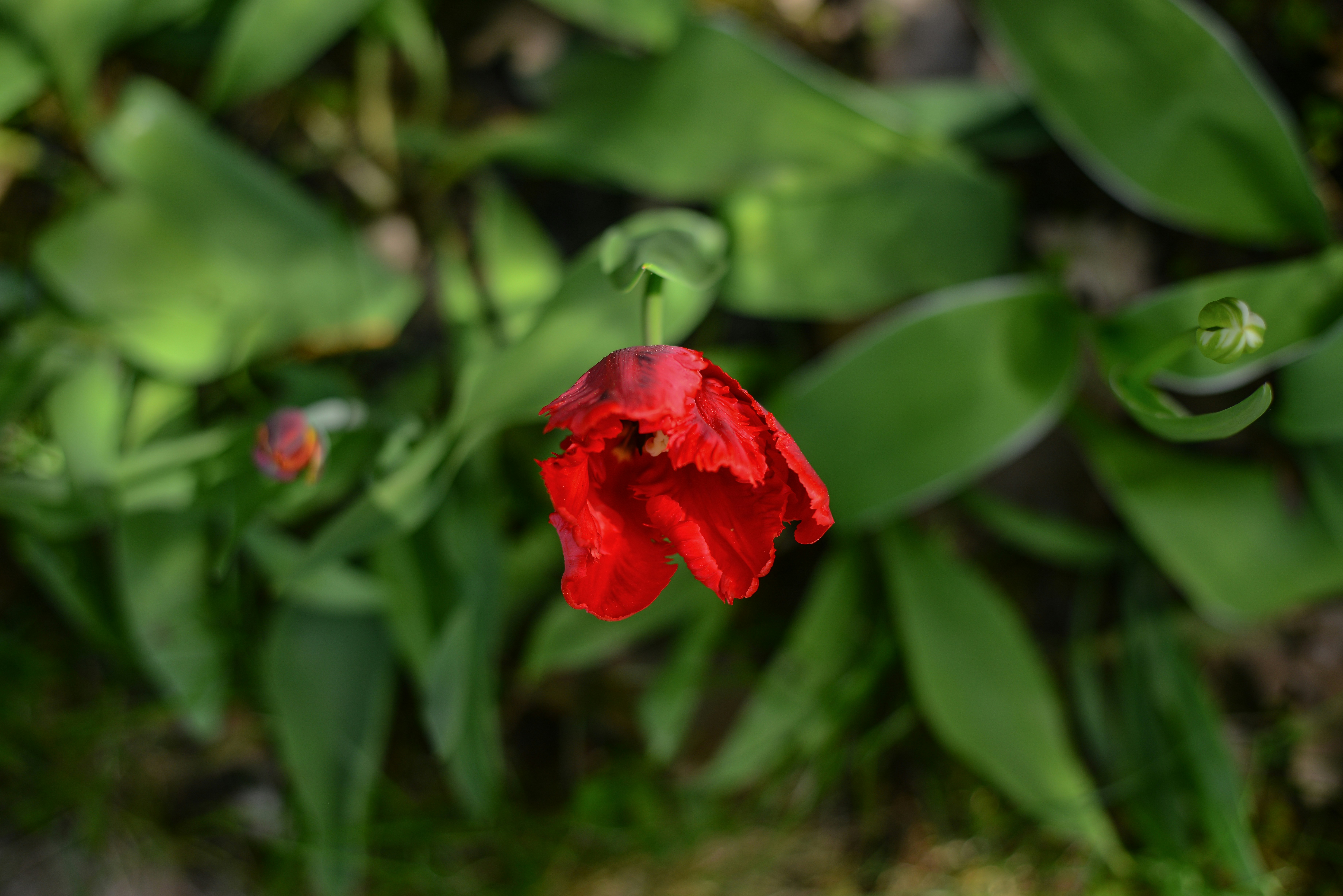 Photo by aleksandrazeberga