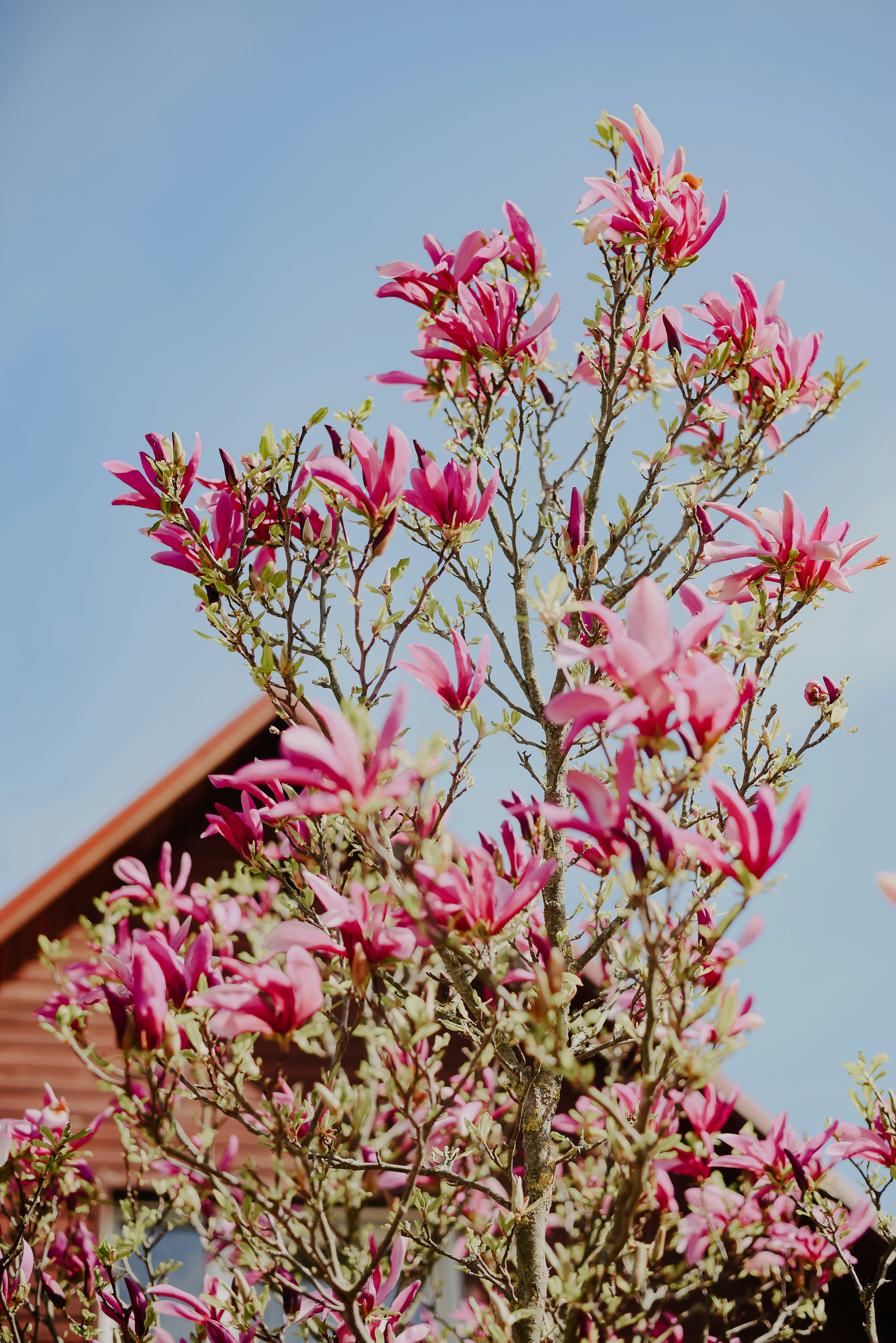 Photo by aleksandrazeberga