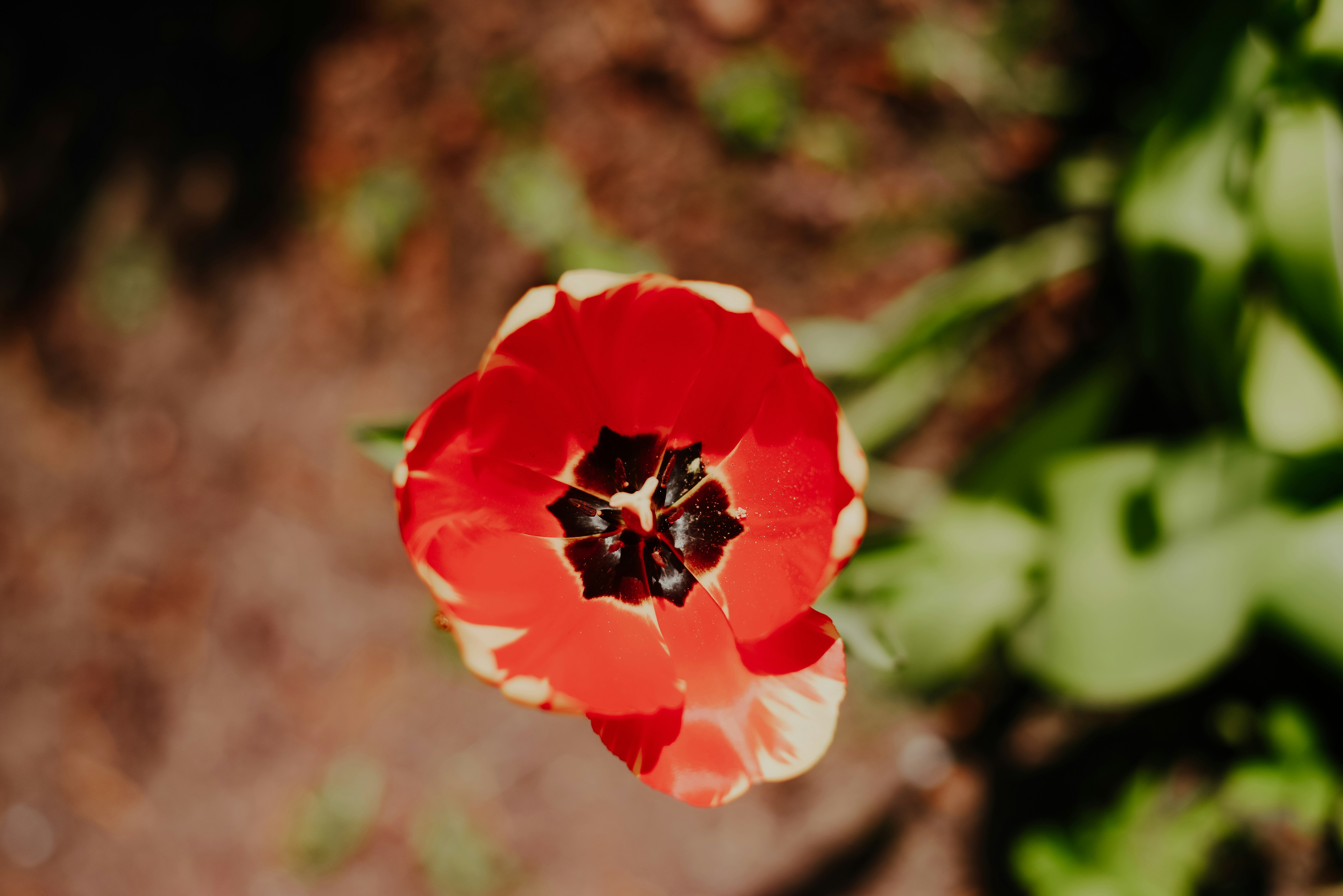 Photo by aleksandrazeberga