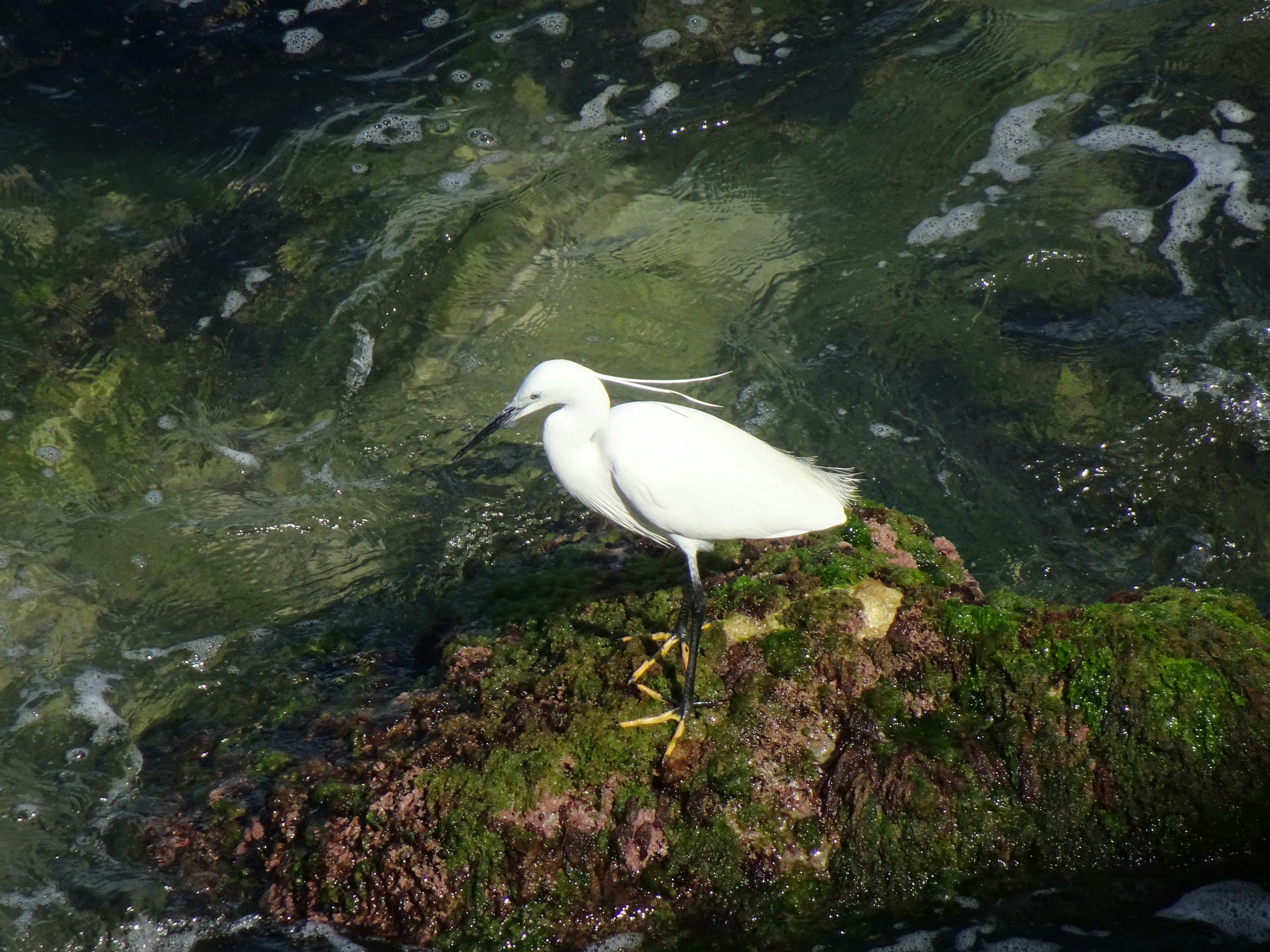 Photo by ludovico_06