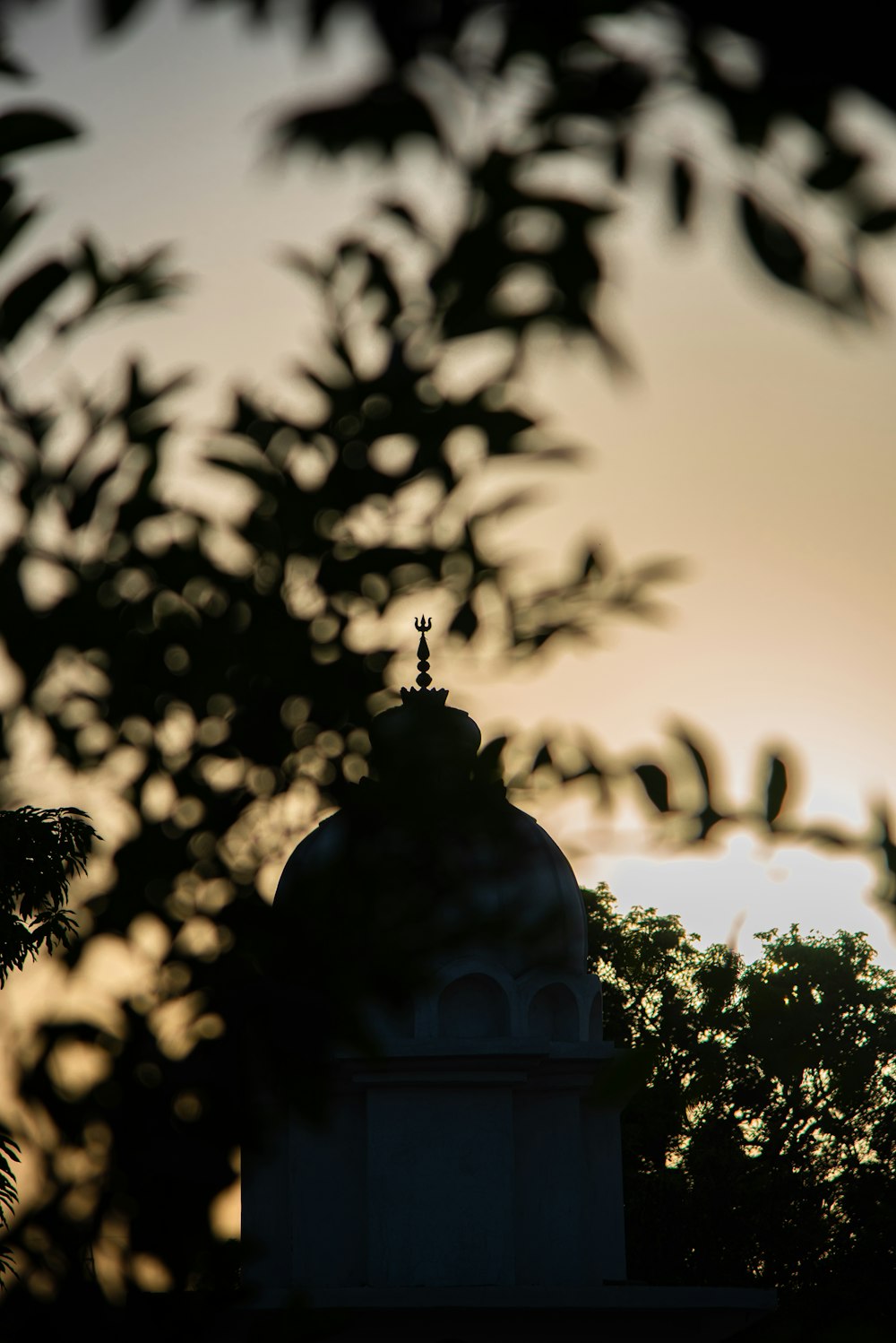 a clock tower is seen through the leaves of a tree