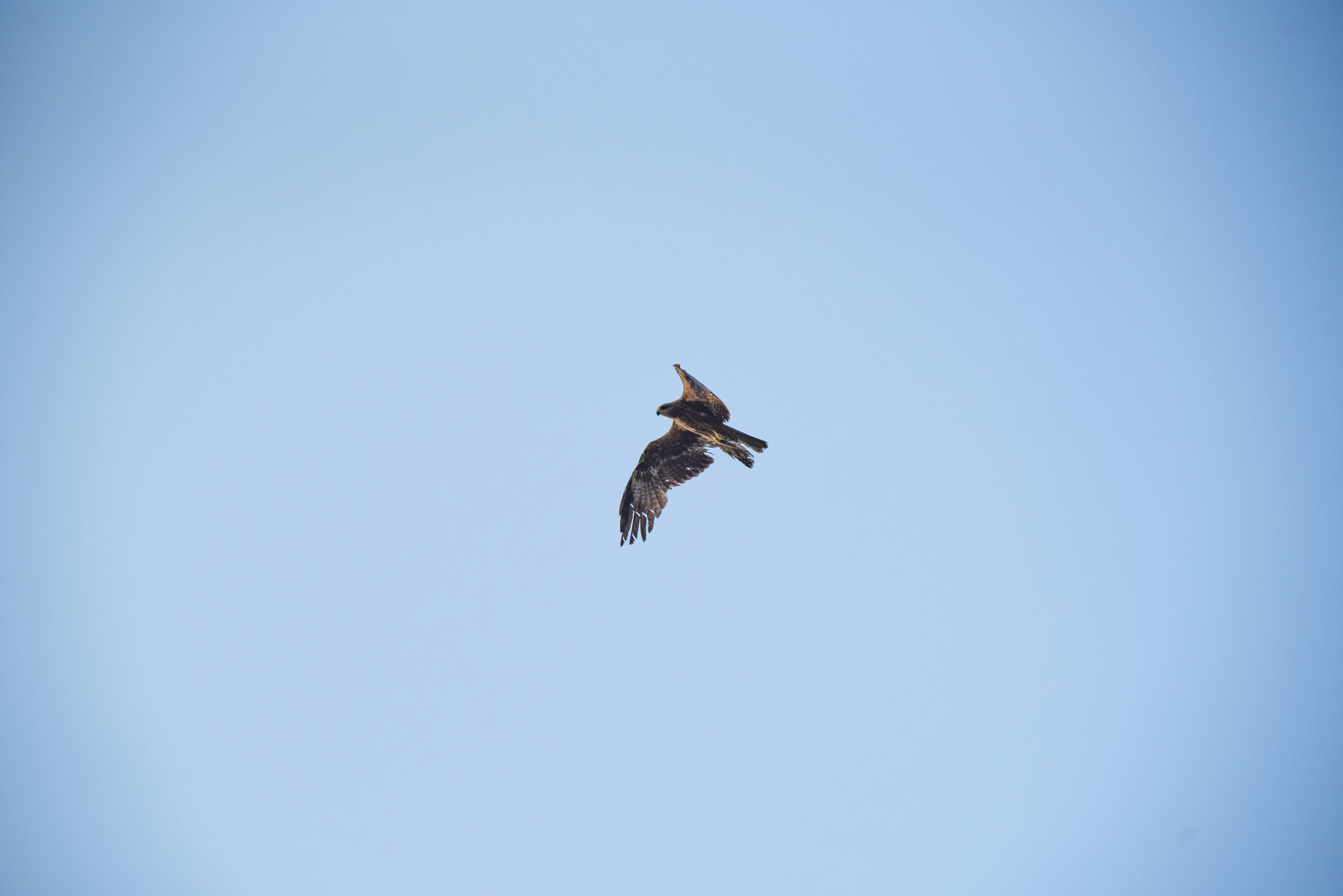 Photo by devang_punia