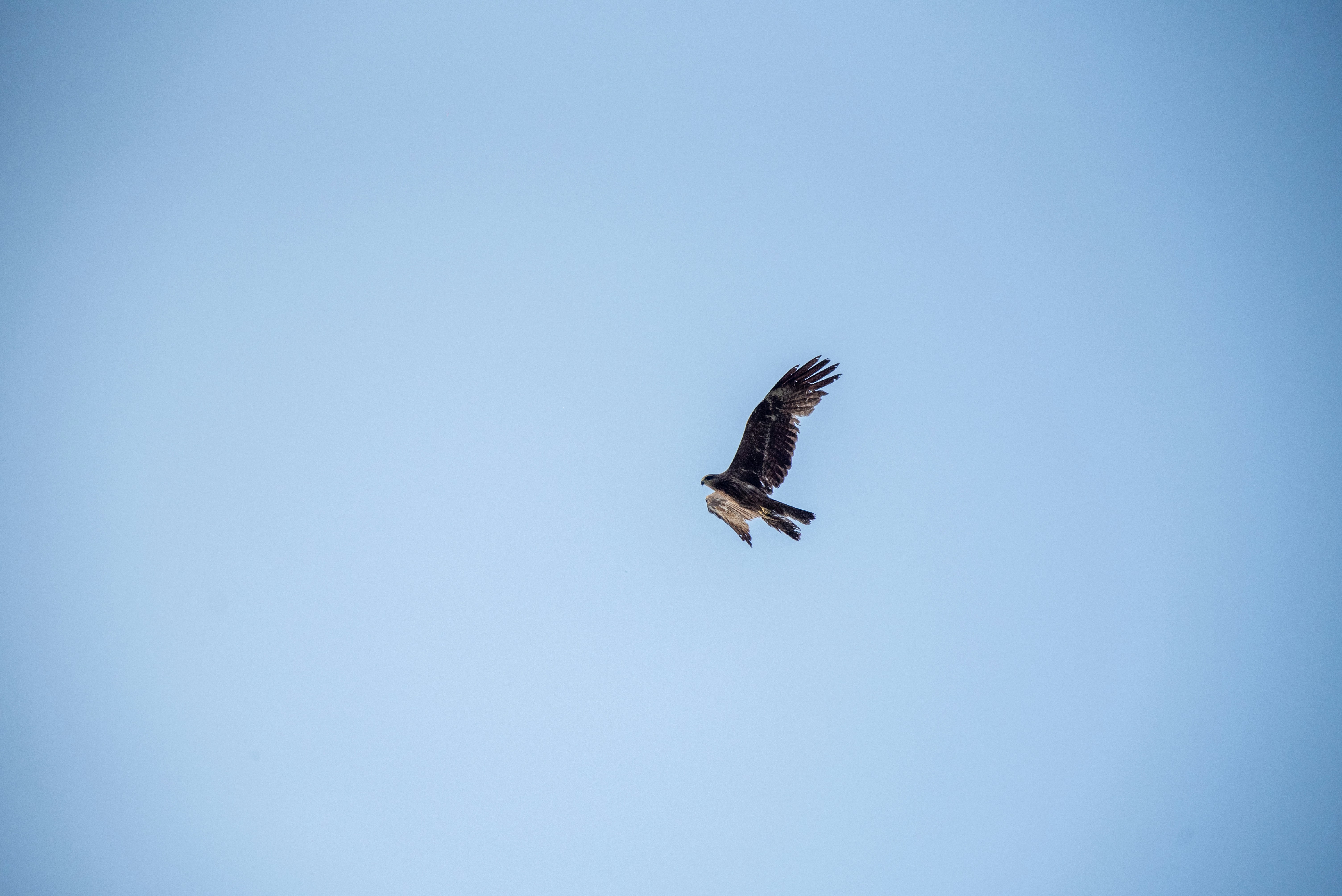 Photo by devang_punia