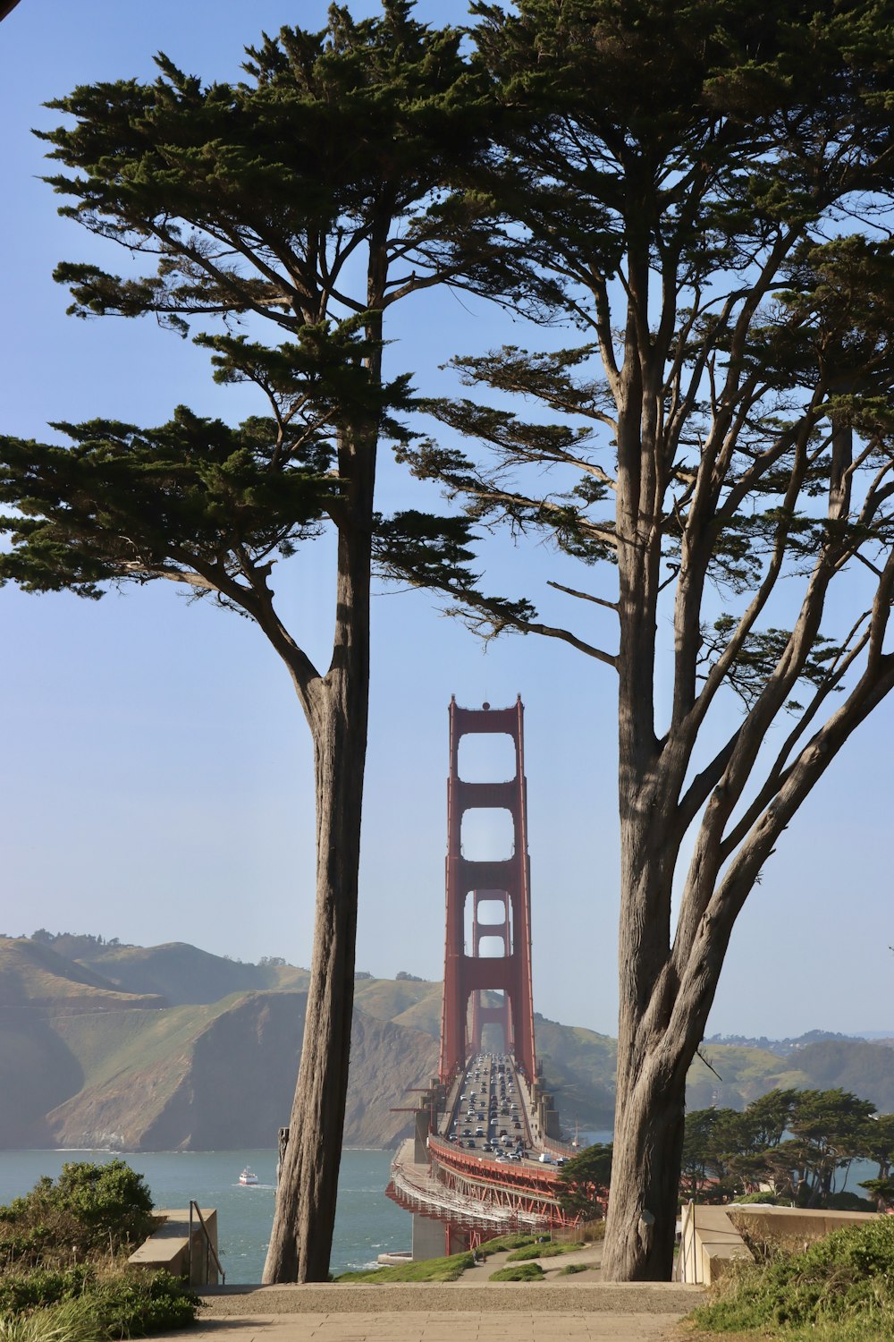 a view of the golden gate bridge through the trees