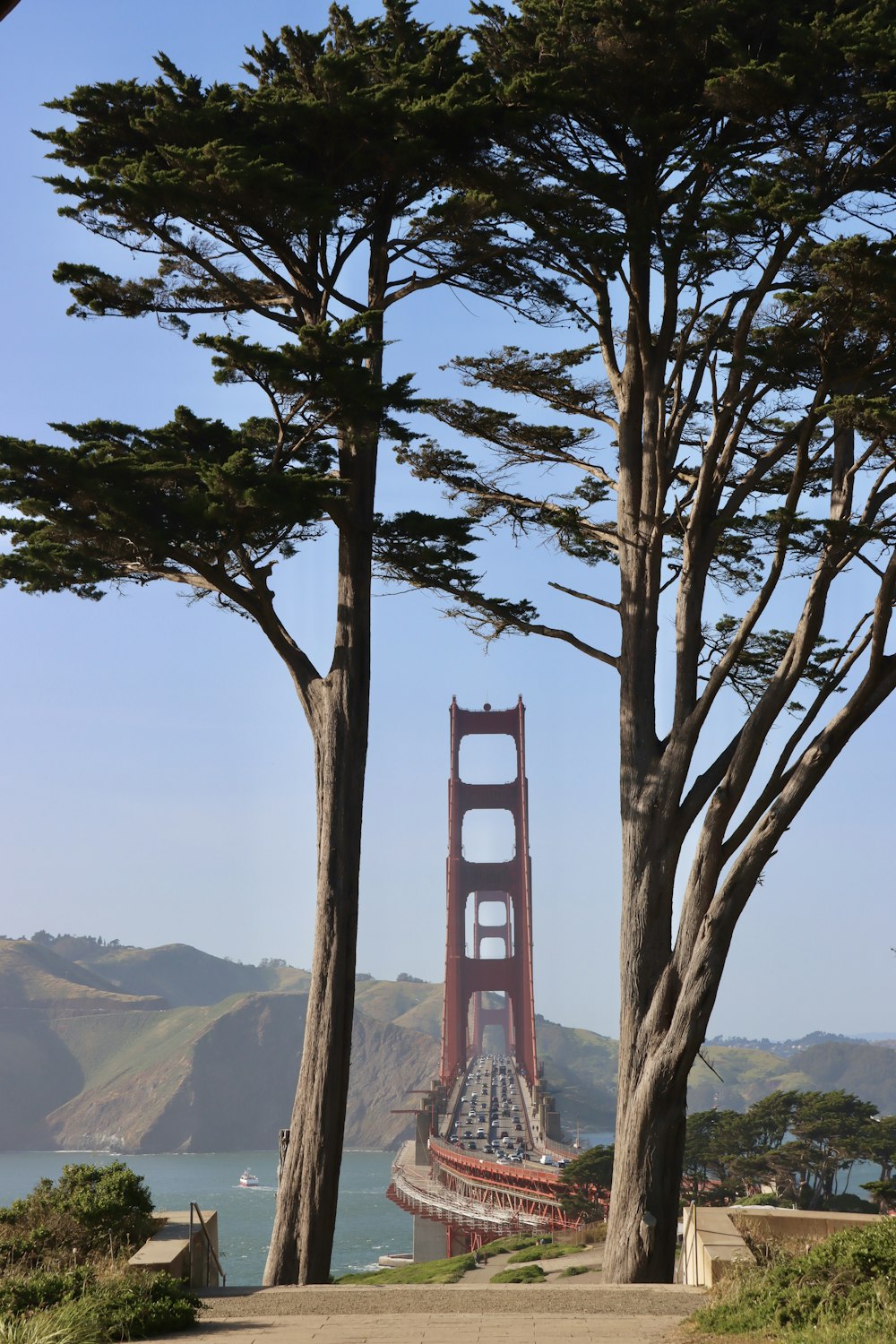 Una veduta del Golden Gate Bridge tra gli alberi