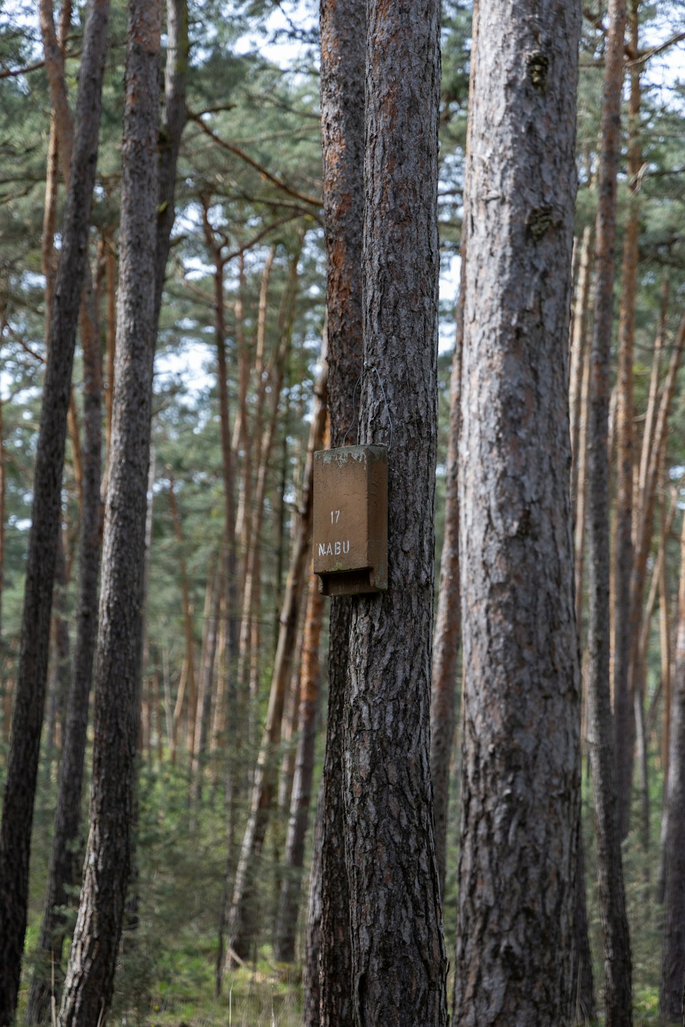 a sign is attached to a tree in the woods