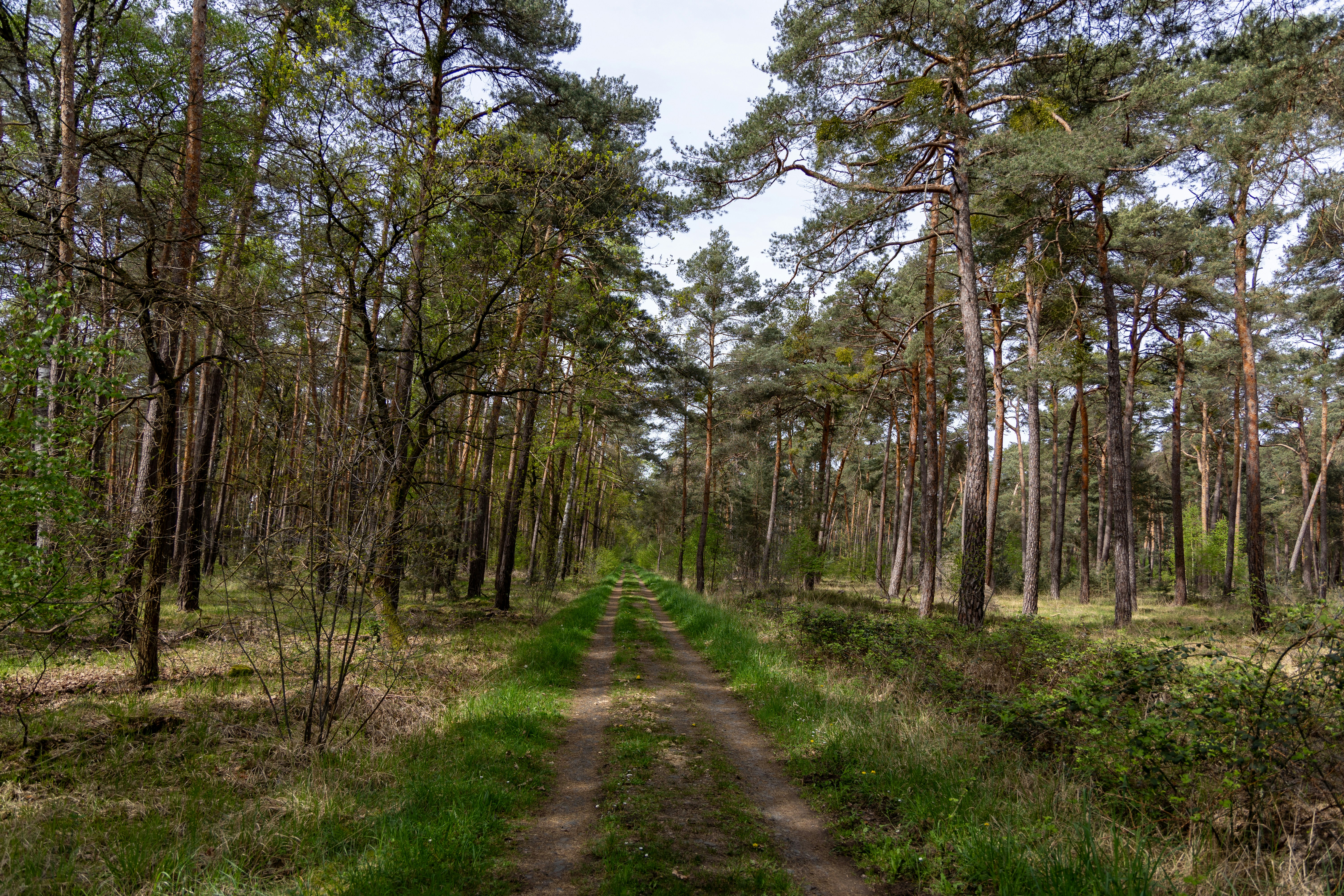 Photo by alexgoettel