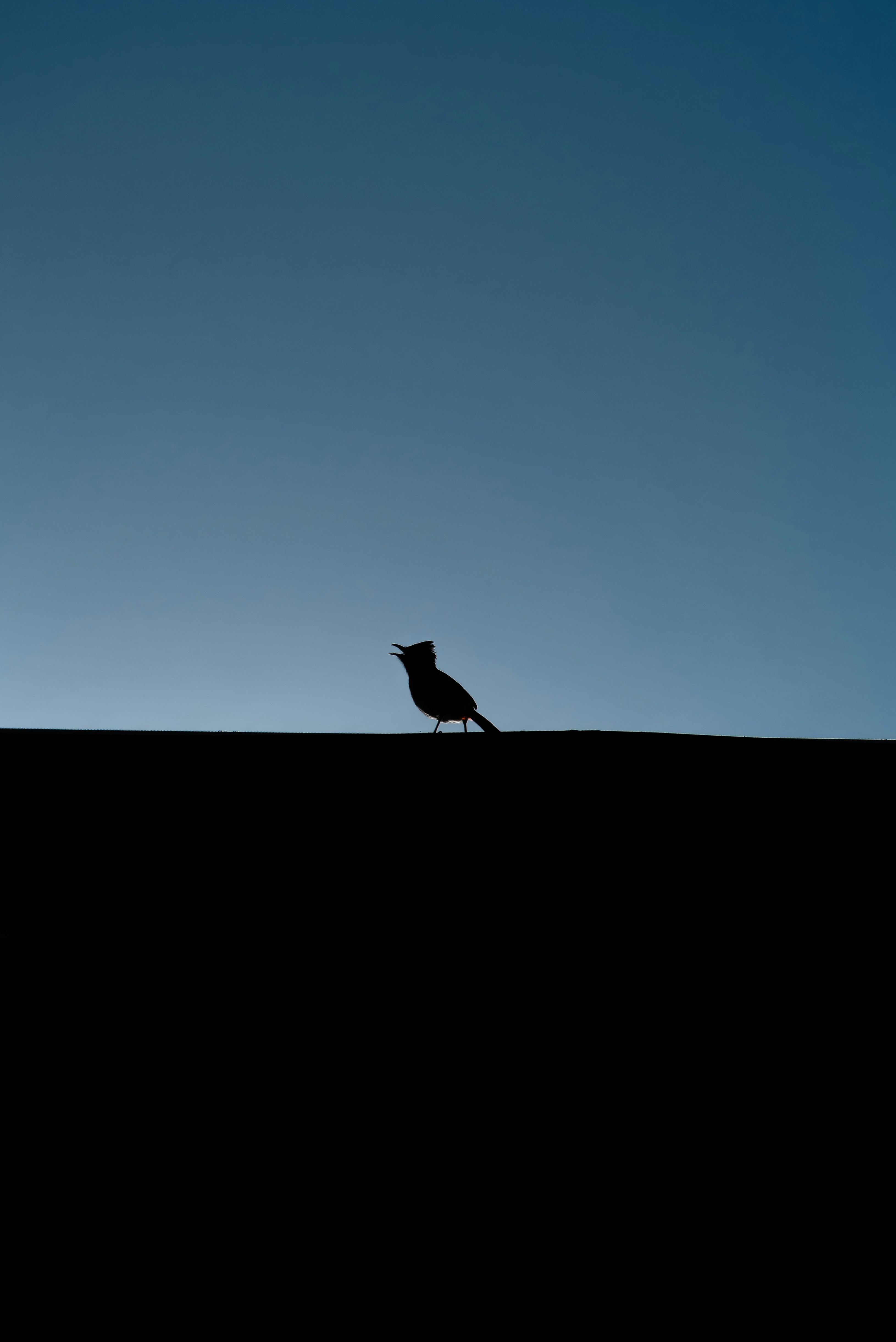 Photo by devang_punia