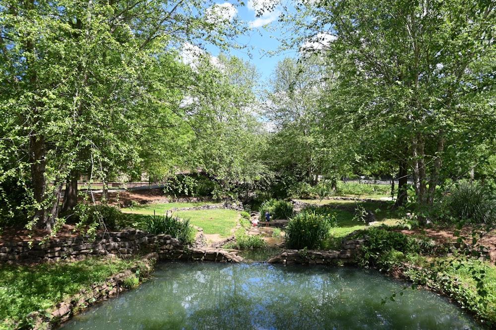 a river running through a lush green forest