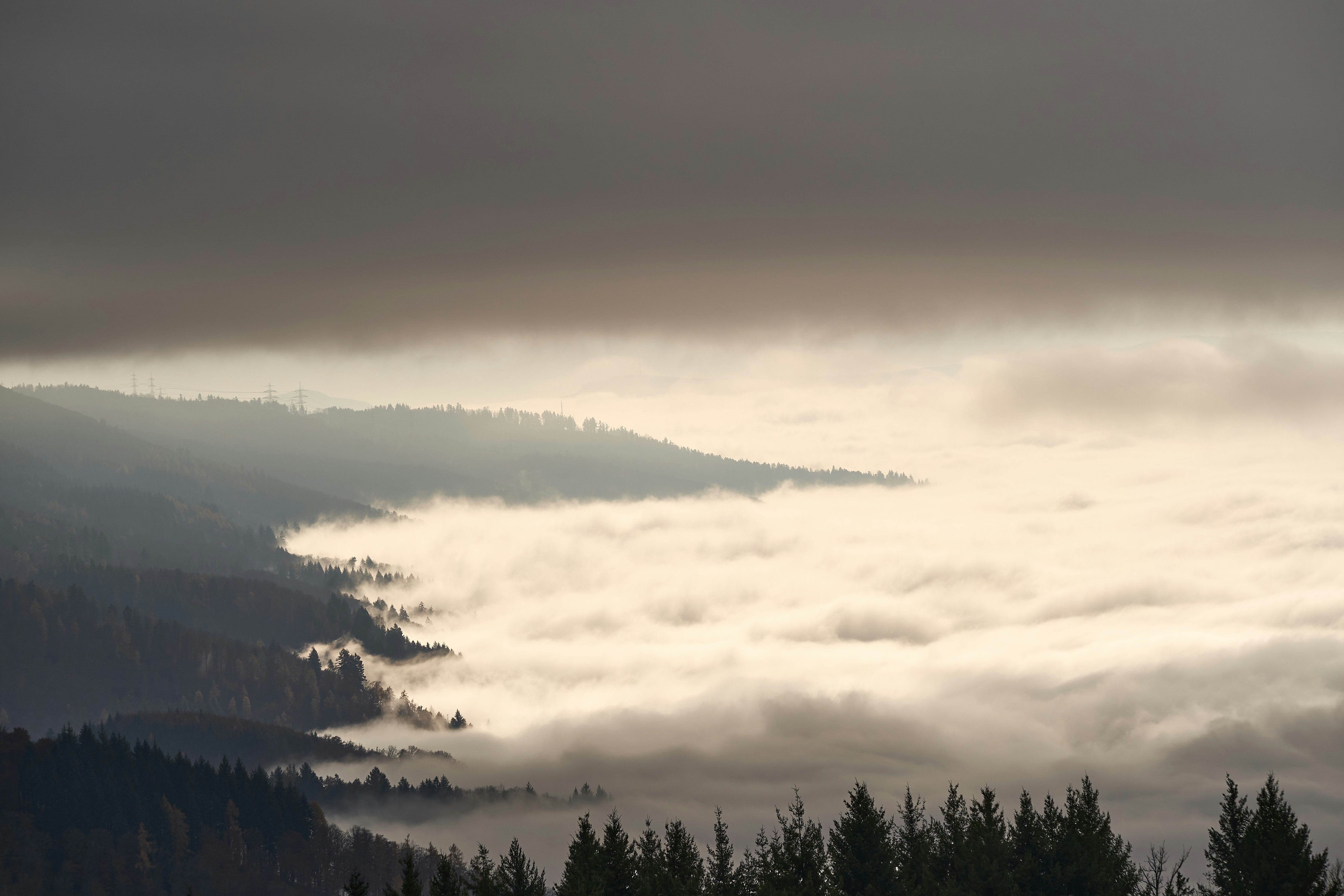 Photo by wolfgang_hasselmann