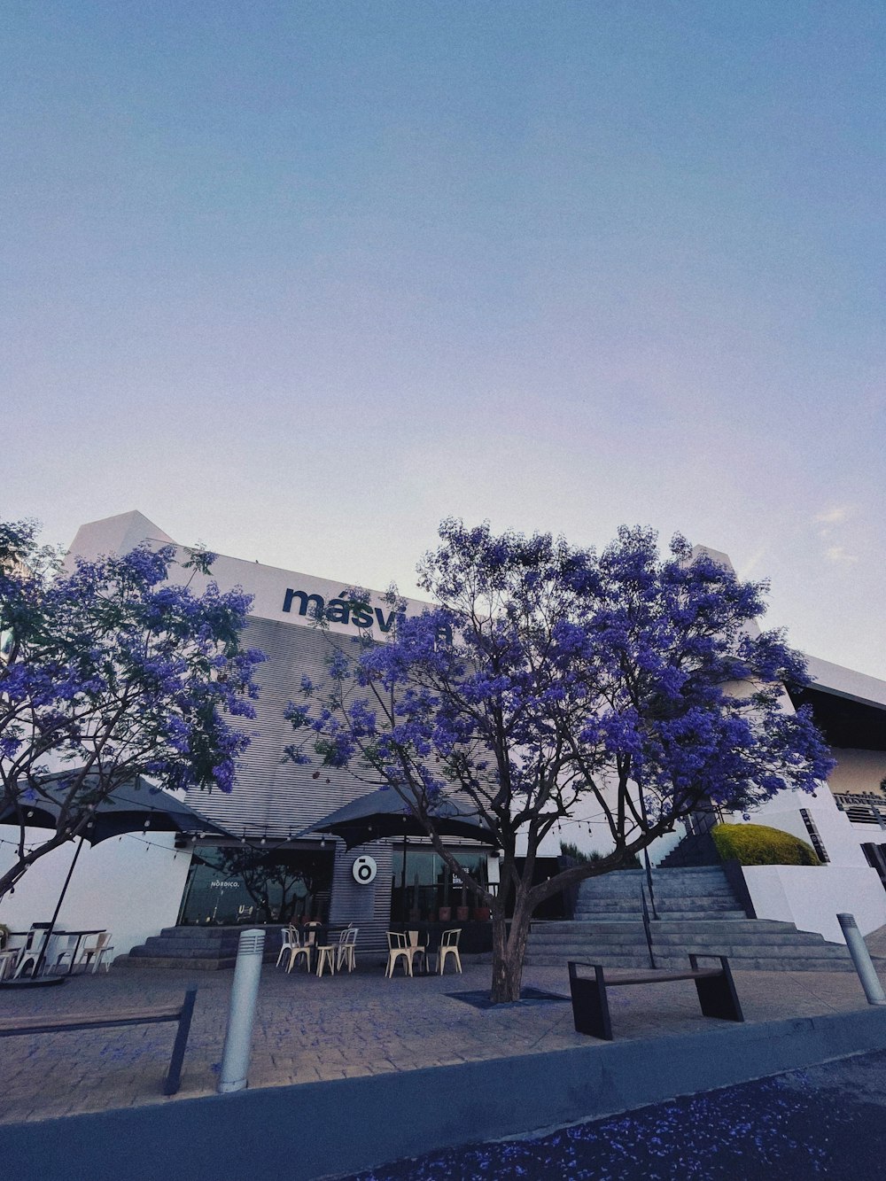 a building that has a bunch of trees in front of it