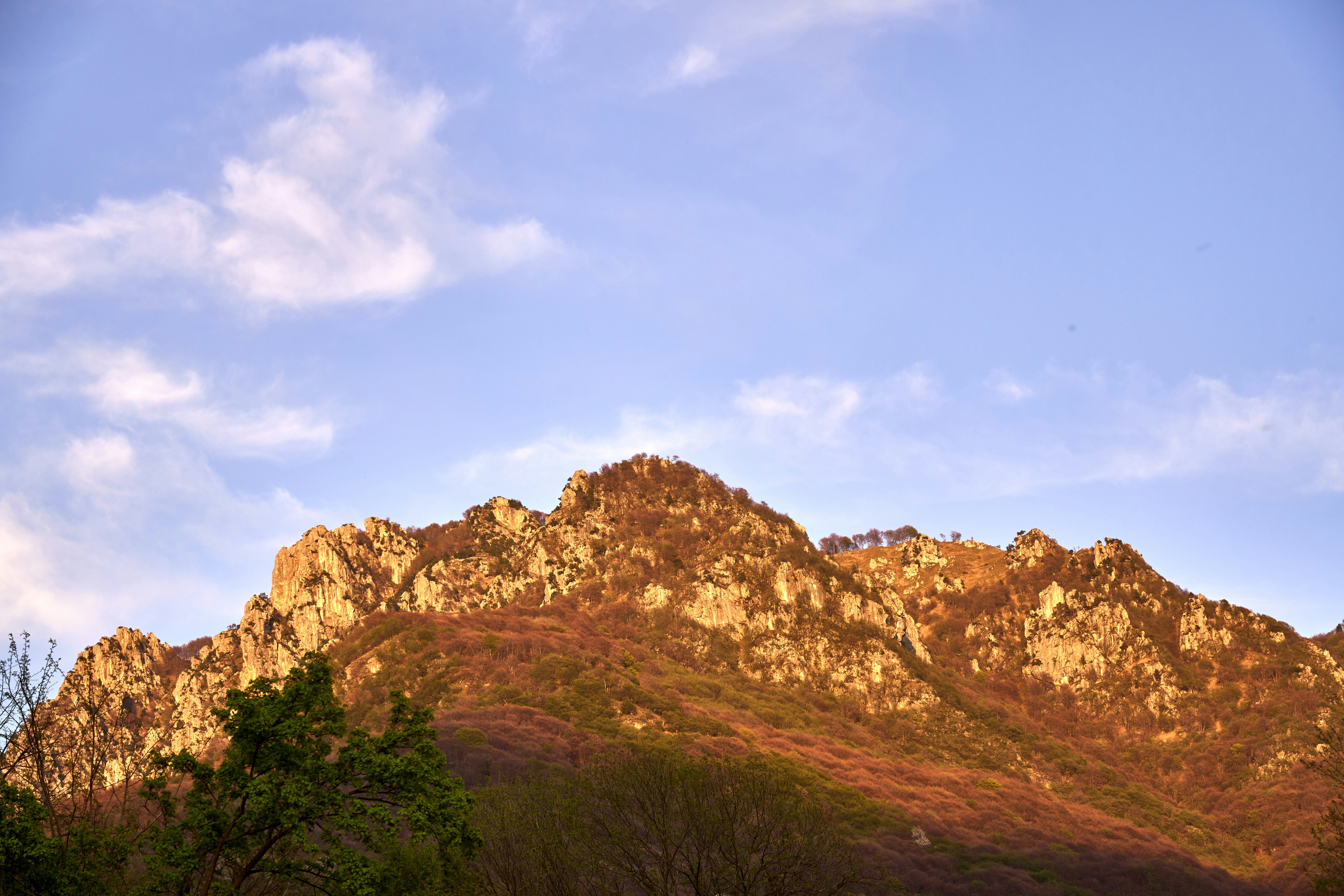 Photo by wolfgang_hasselmann