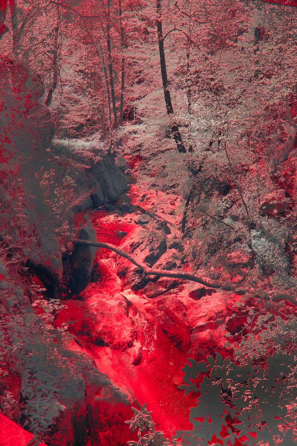 a red and black photo of a stream in the woods