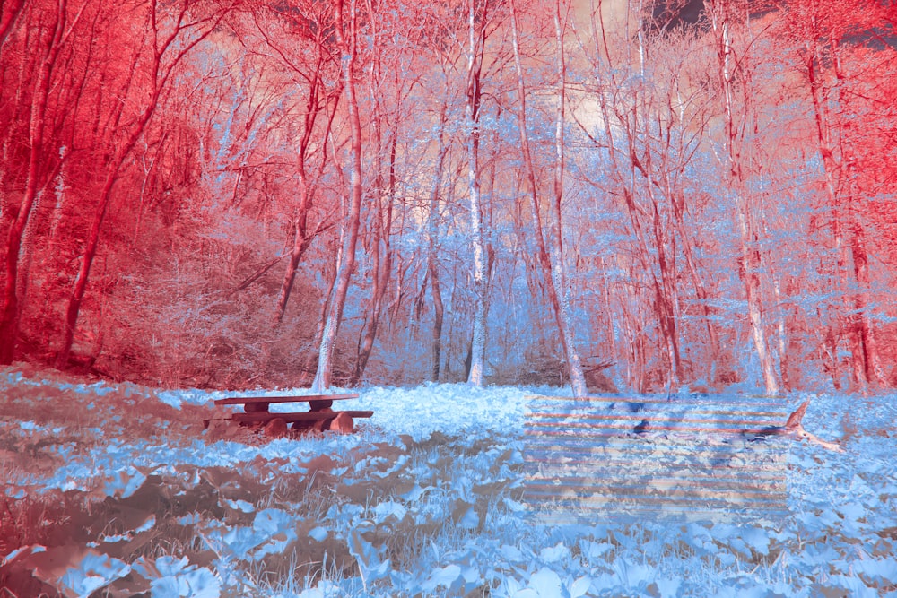 a bench in the middle of a snowy forest