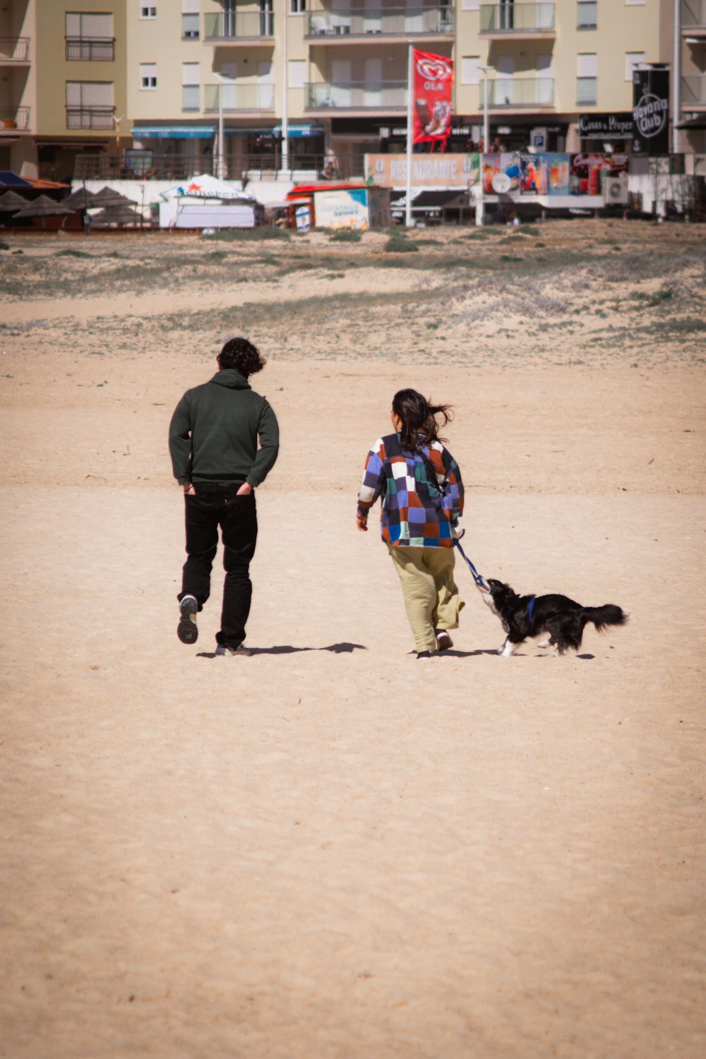 a man and a woman walking a dog on a beach