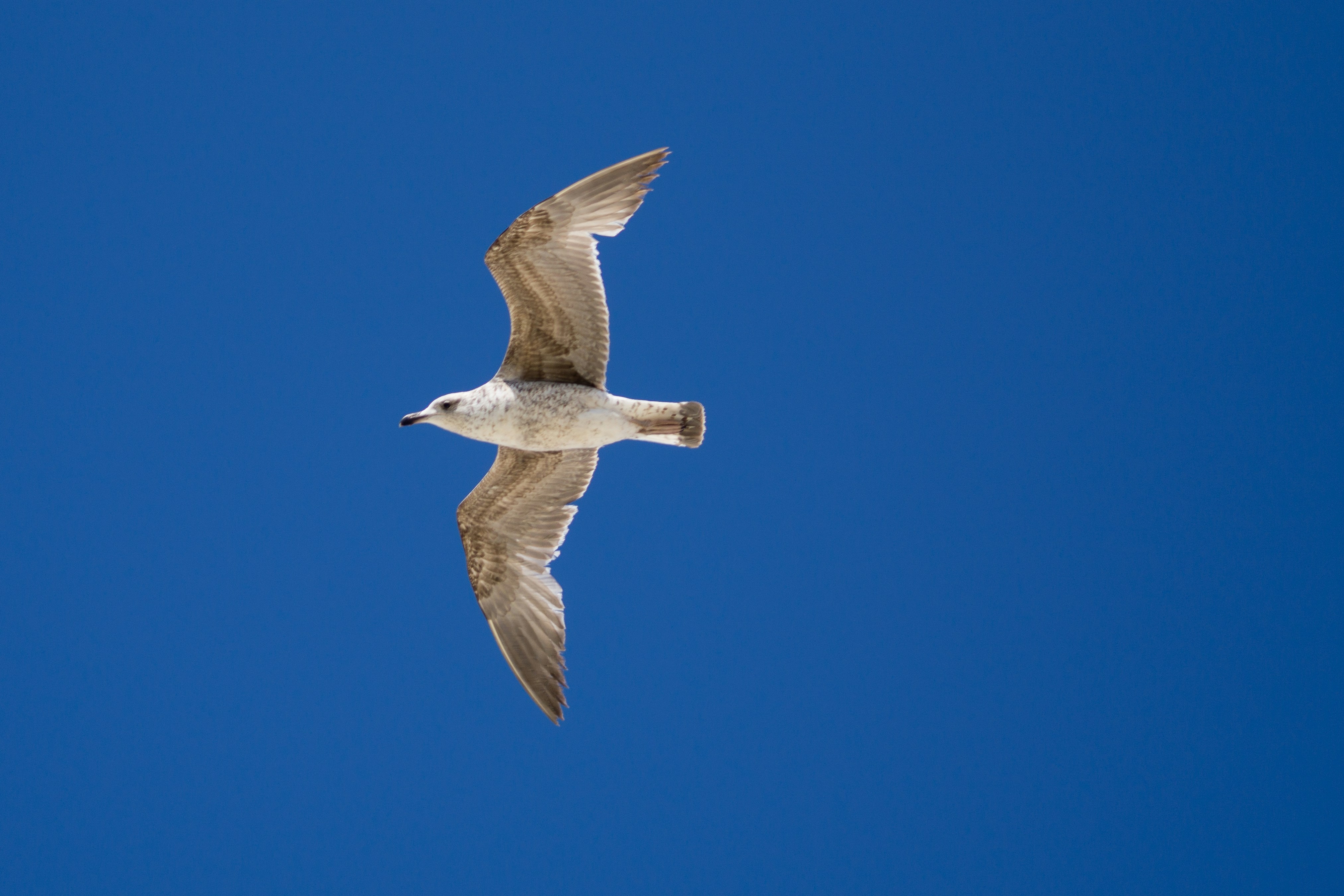 Photo by diogocardoso28