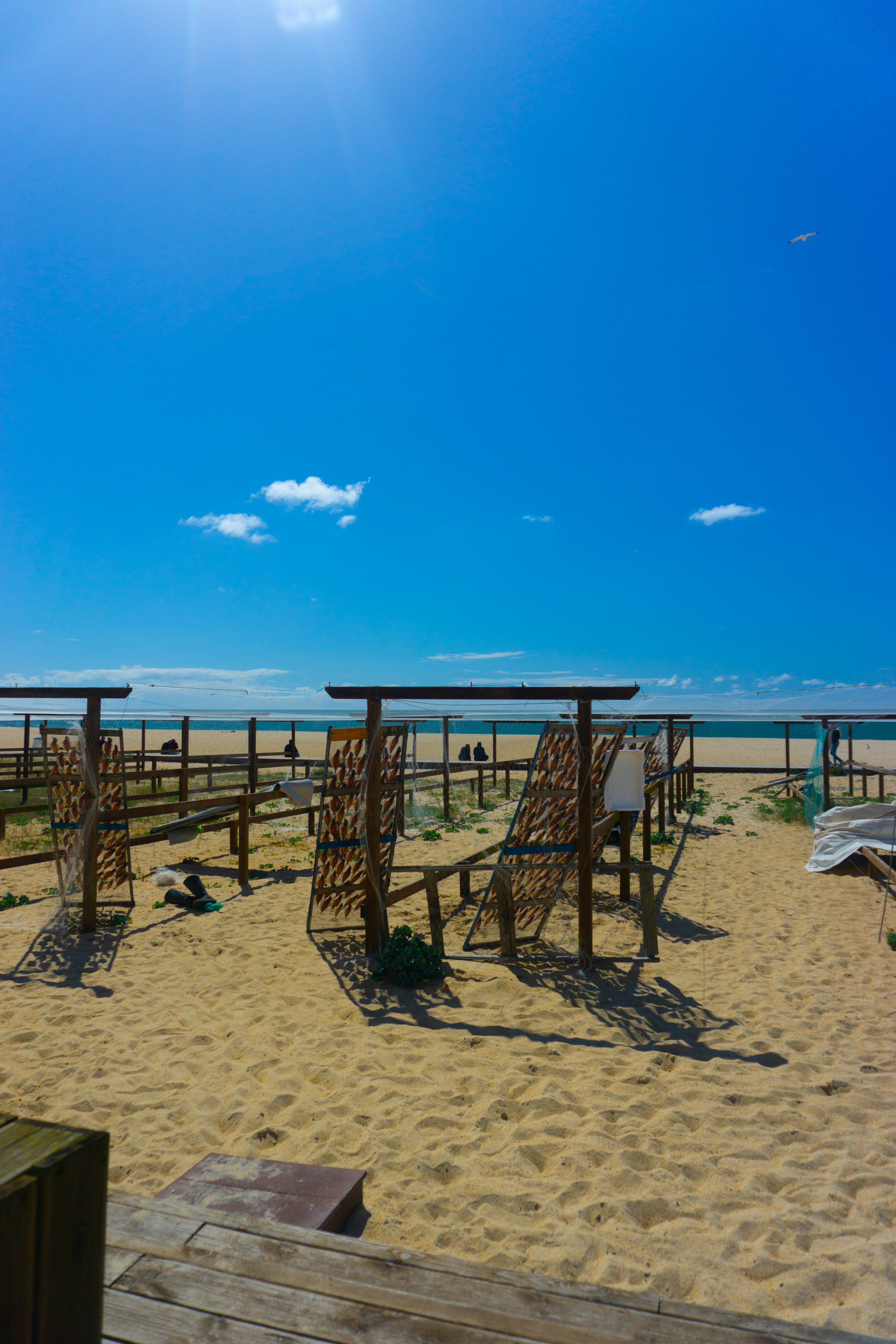 Photo by diogocardoso28