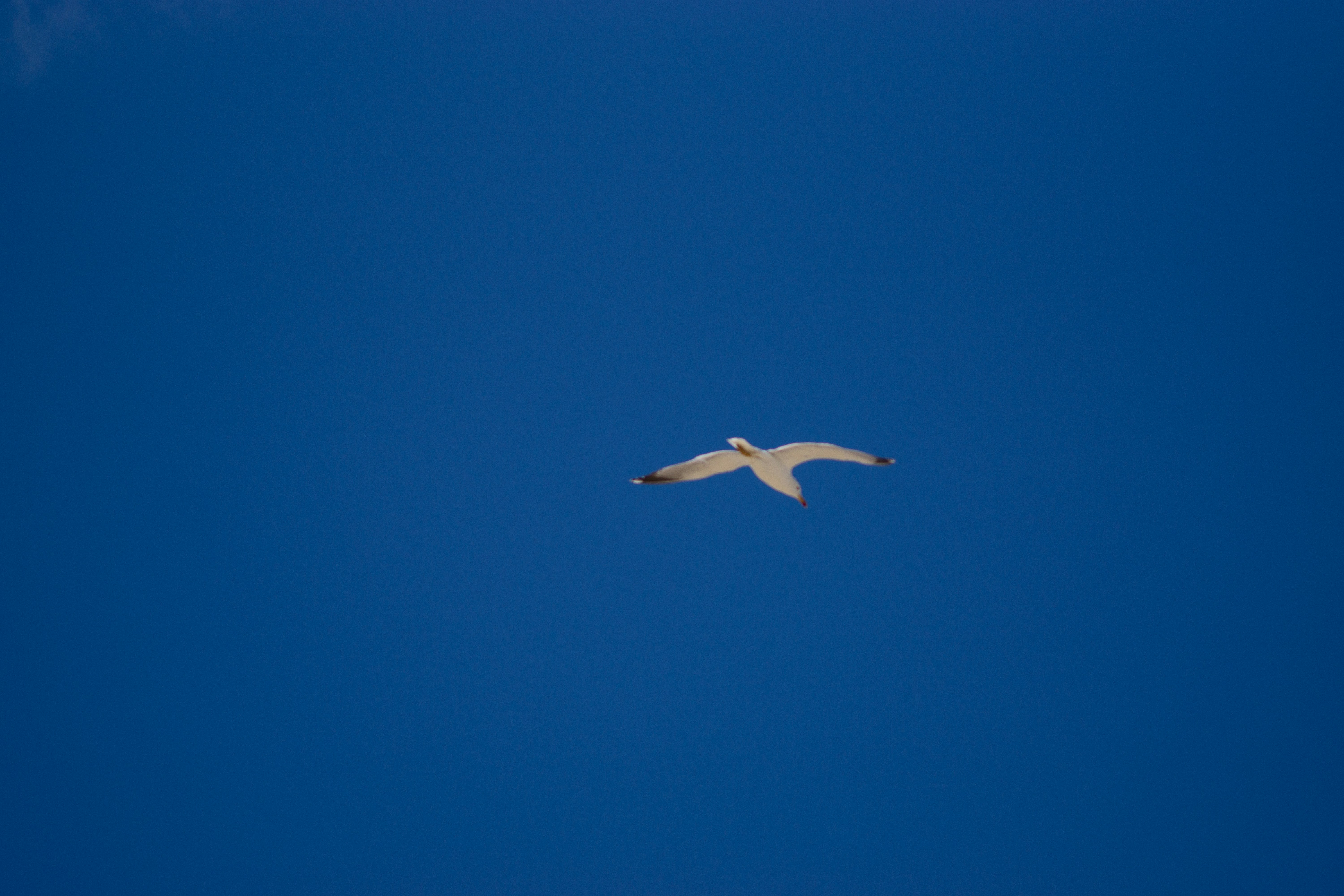 Photo by diogocardoso28