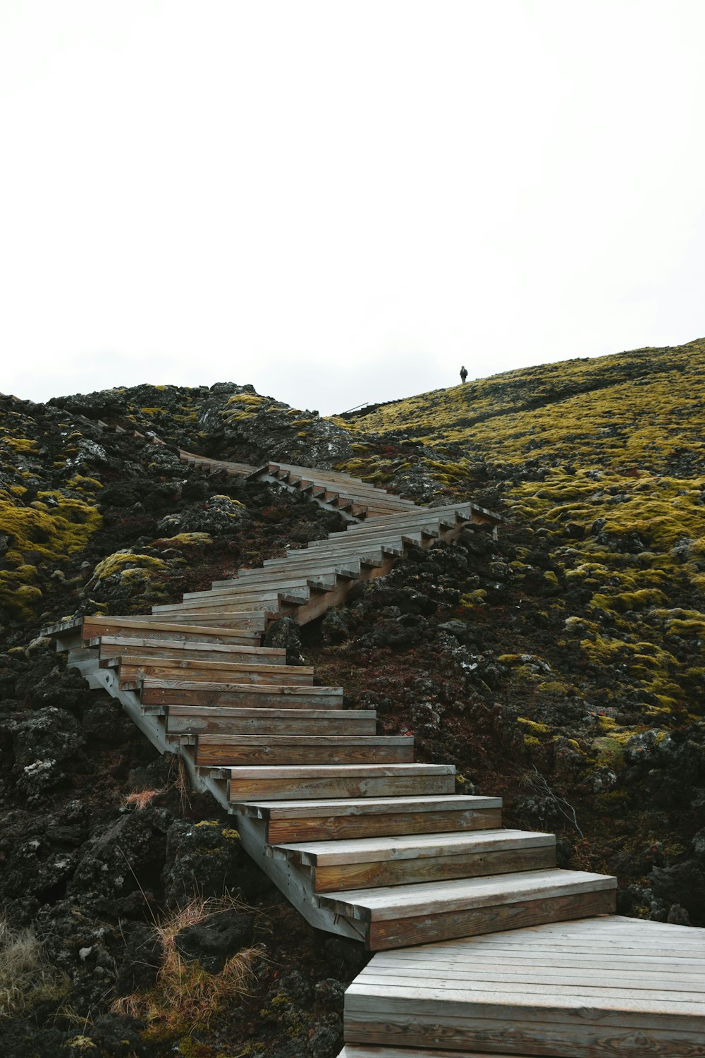 a set of wooden steps going up a hill