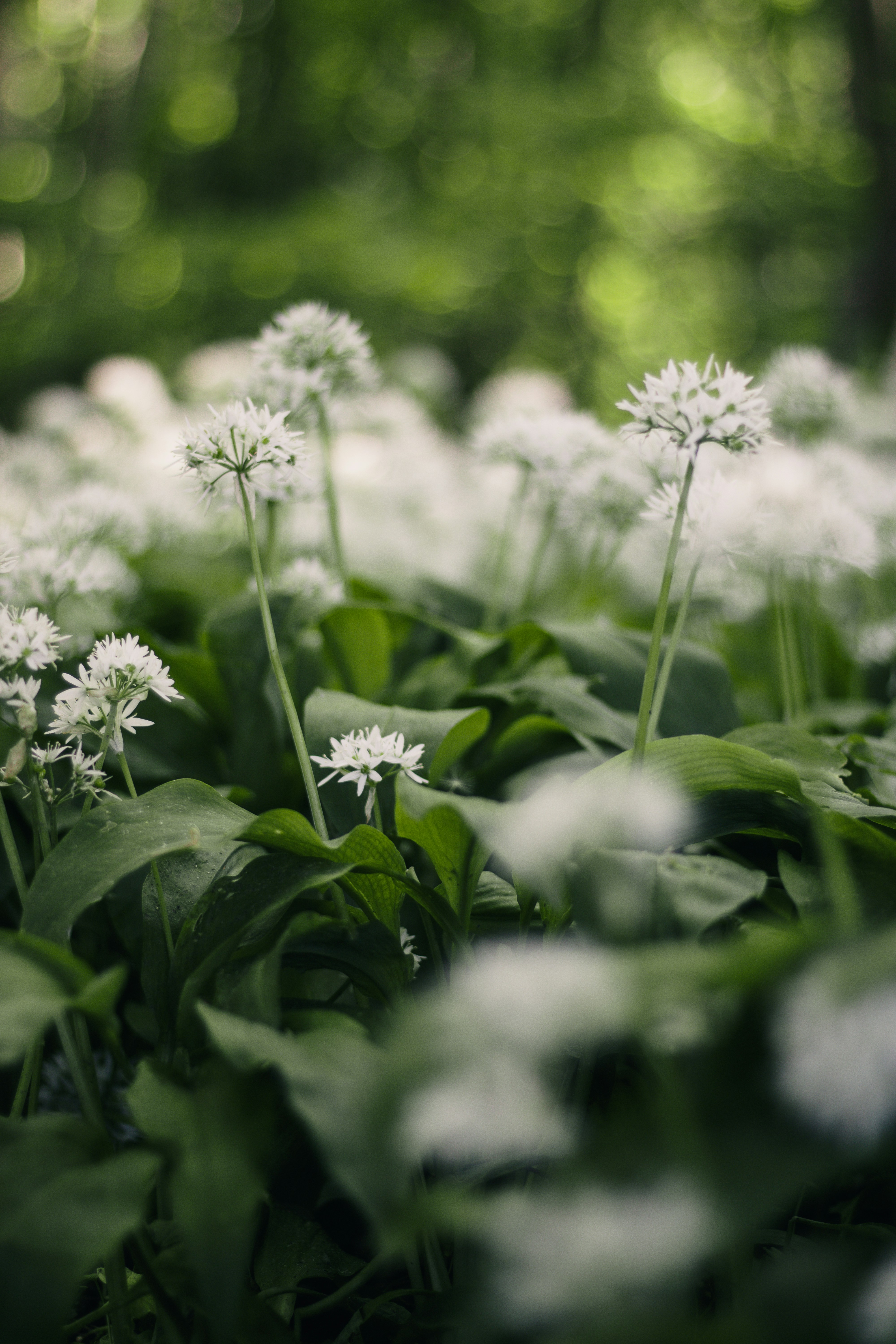 Photo by earthfulmoments