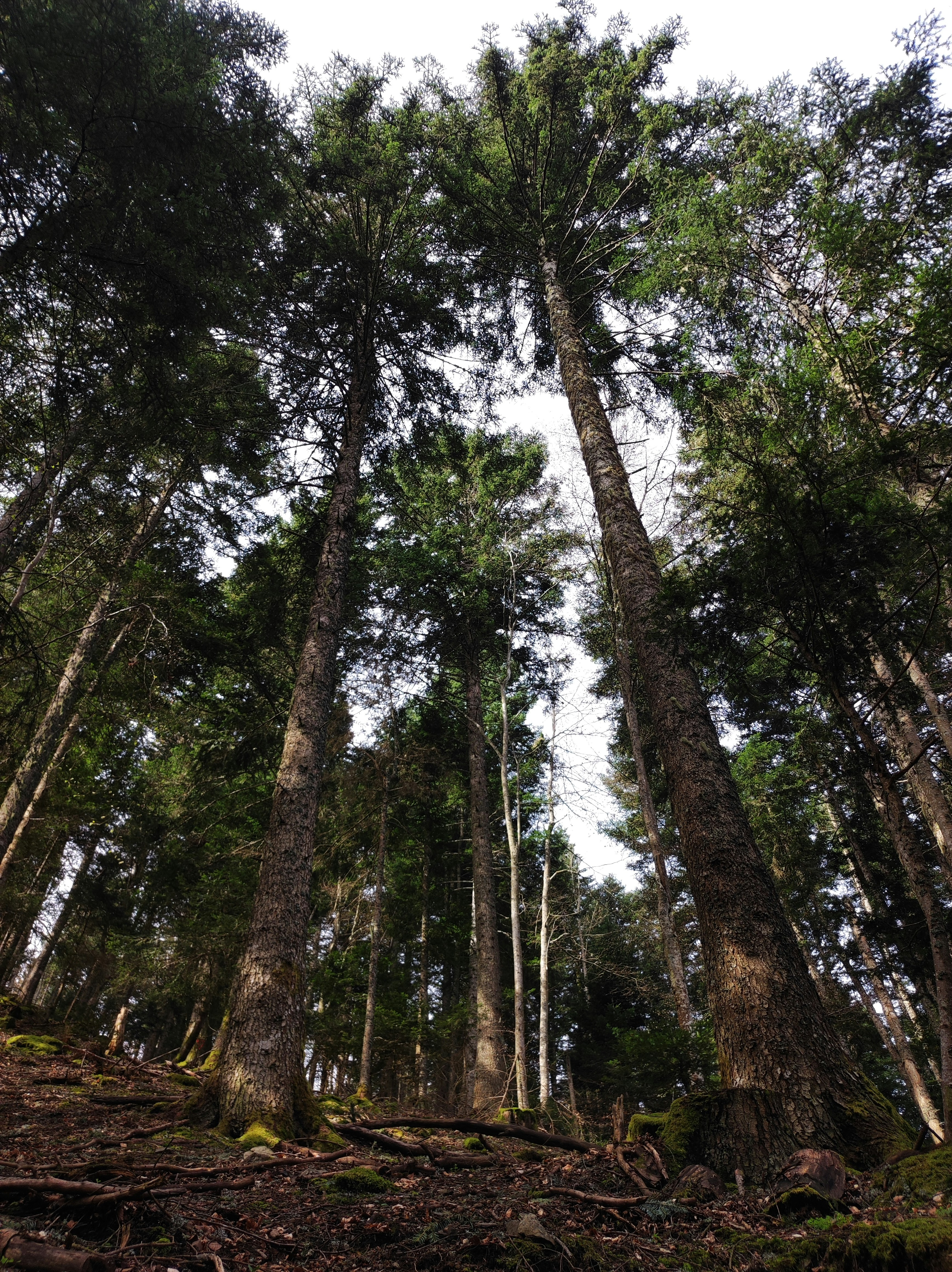 Photo by nicolas_barbault