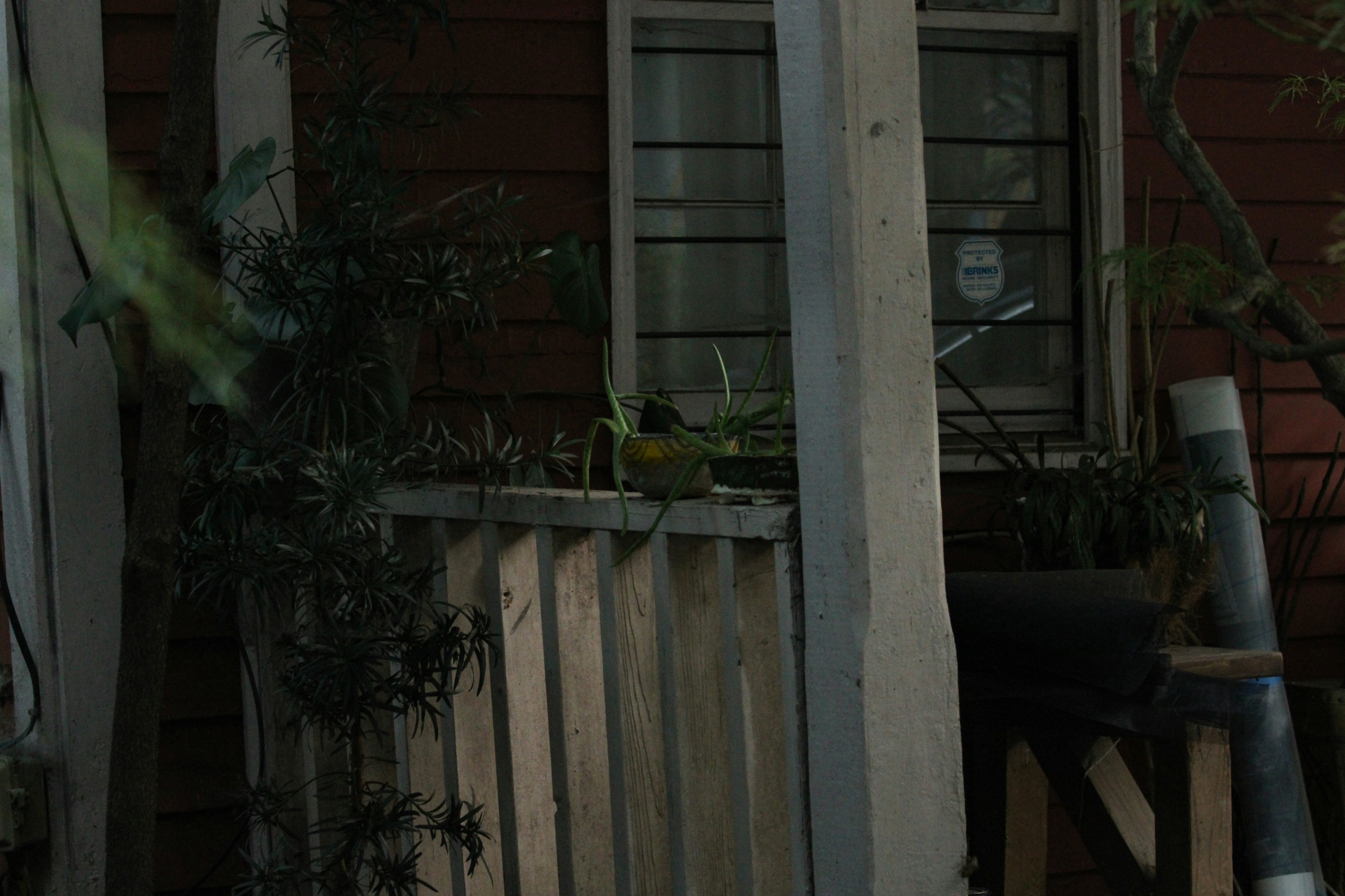 A cat sitting on a porch next to a fence photo – Free Plant Image on ...