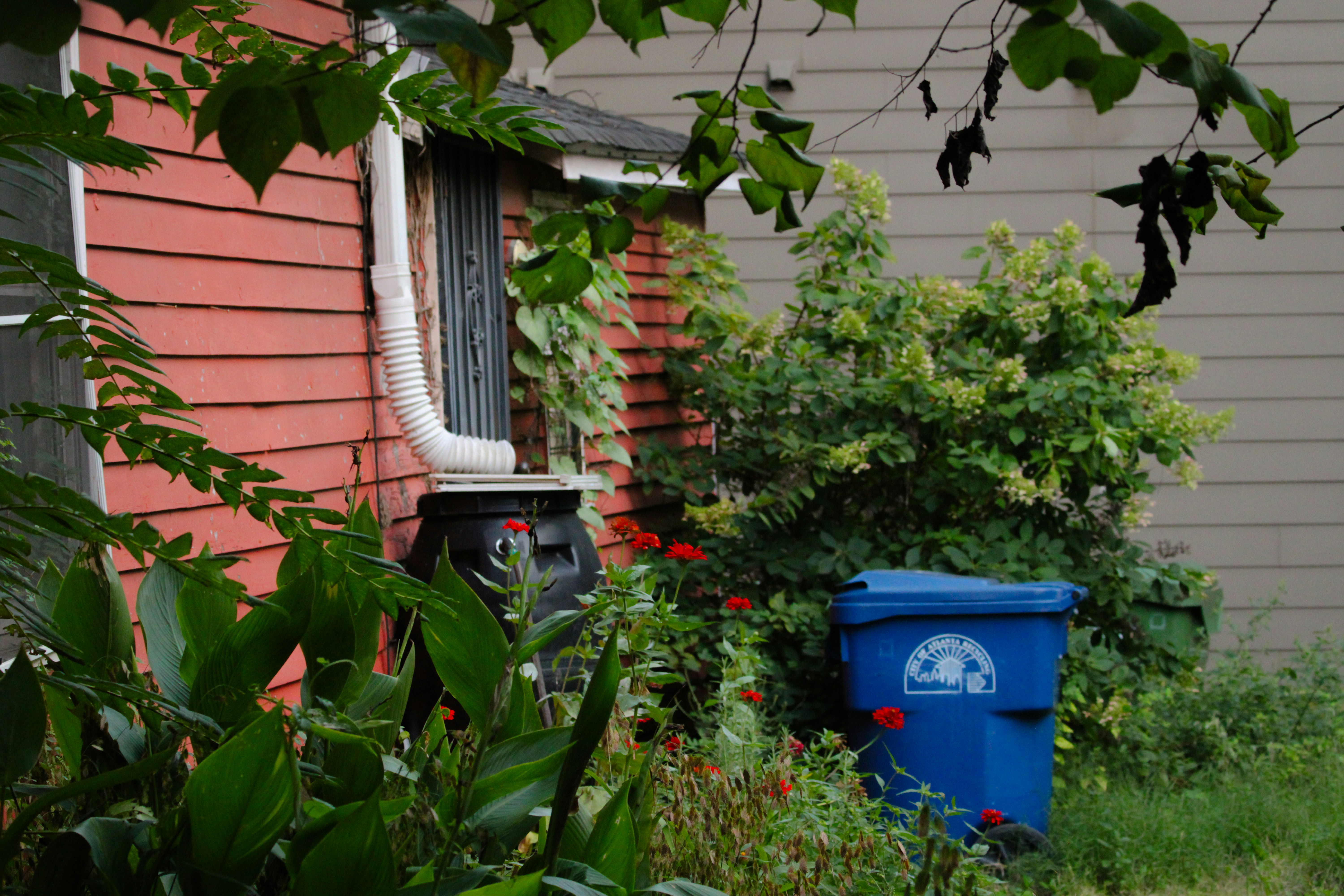 12 Sustainable Junk Removal Solutions for Every Home