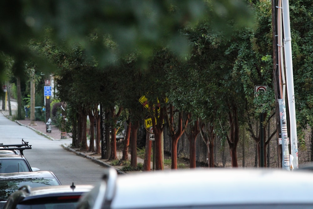 a street lined with trees and parked cars