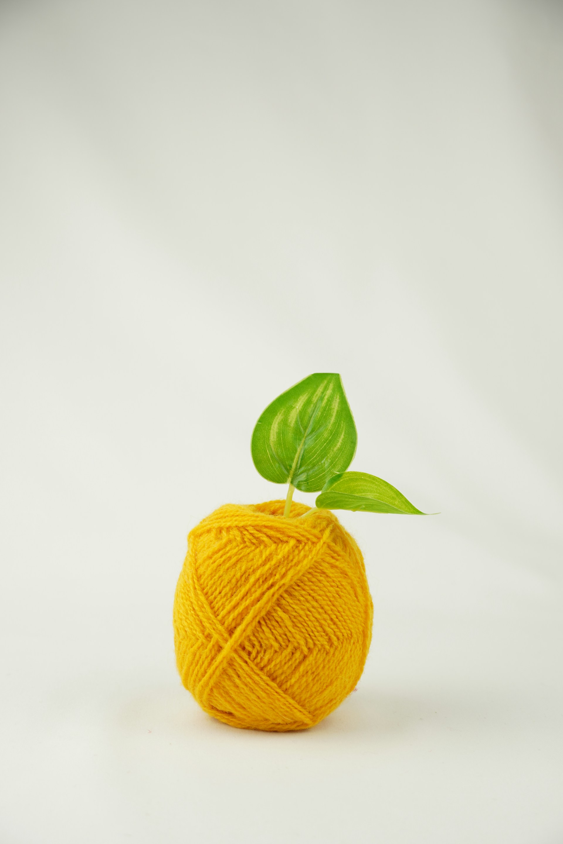 a ball of yarn with a green leaf on top