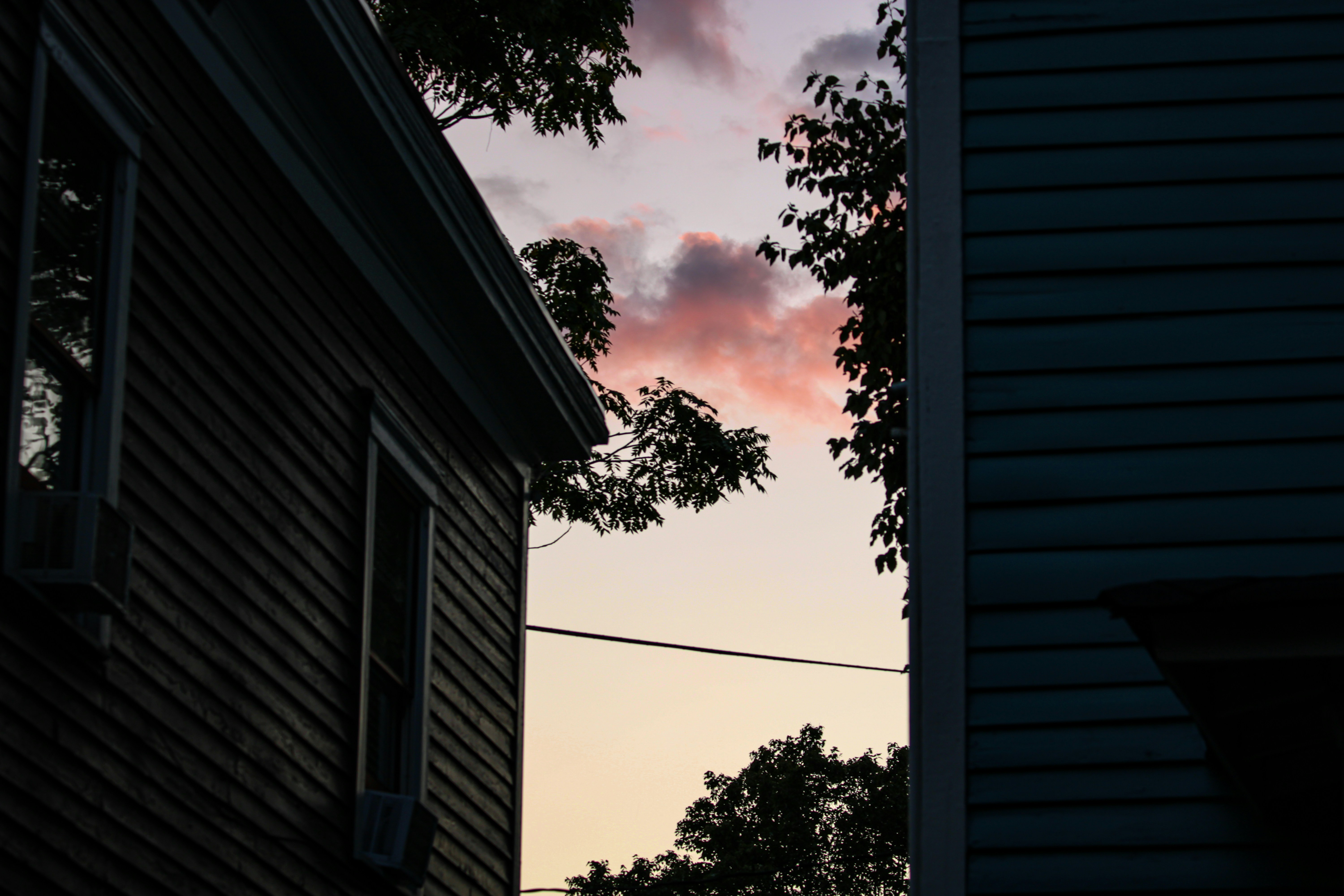 Photo by m_stuckey
