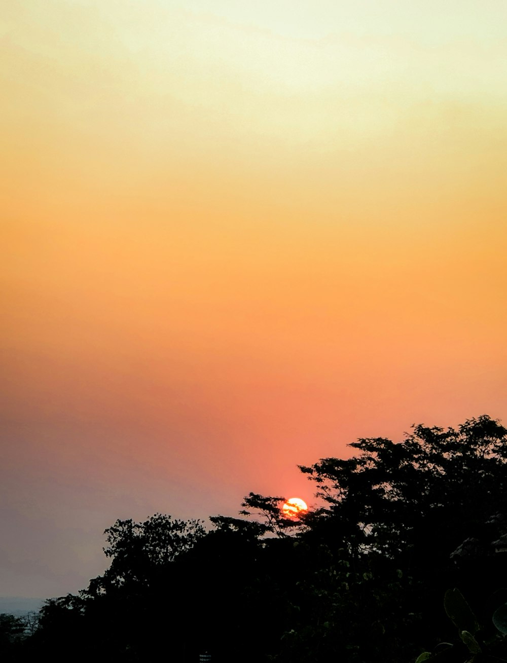 a plane flying in the sky at sunset