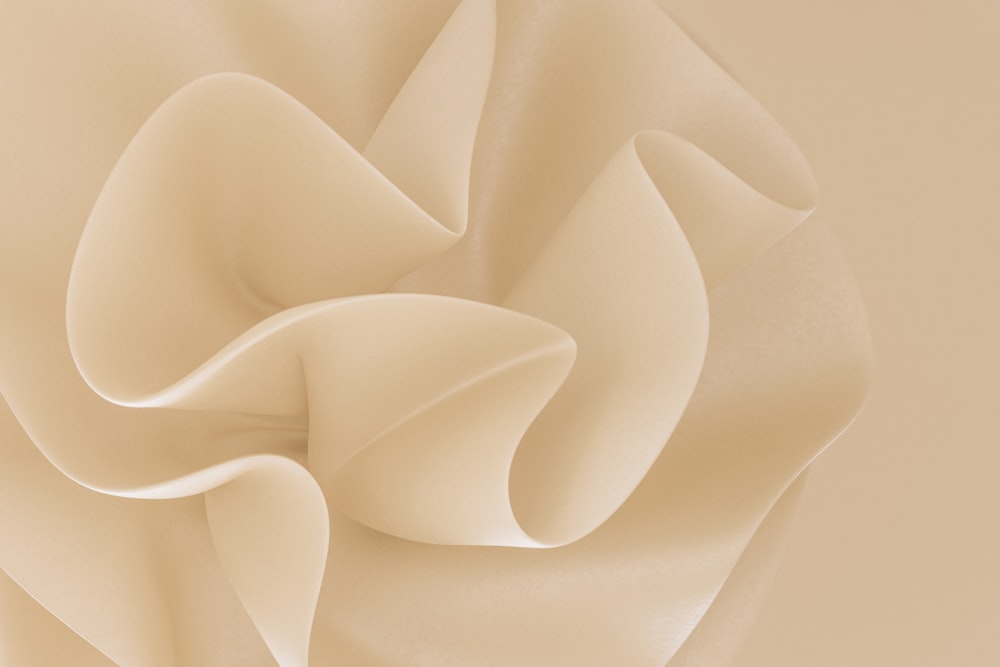 a close up of a white flower on a beige background