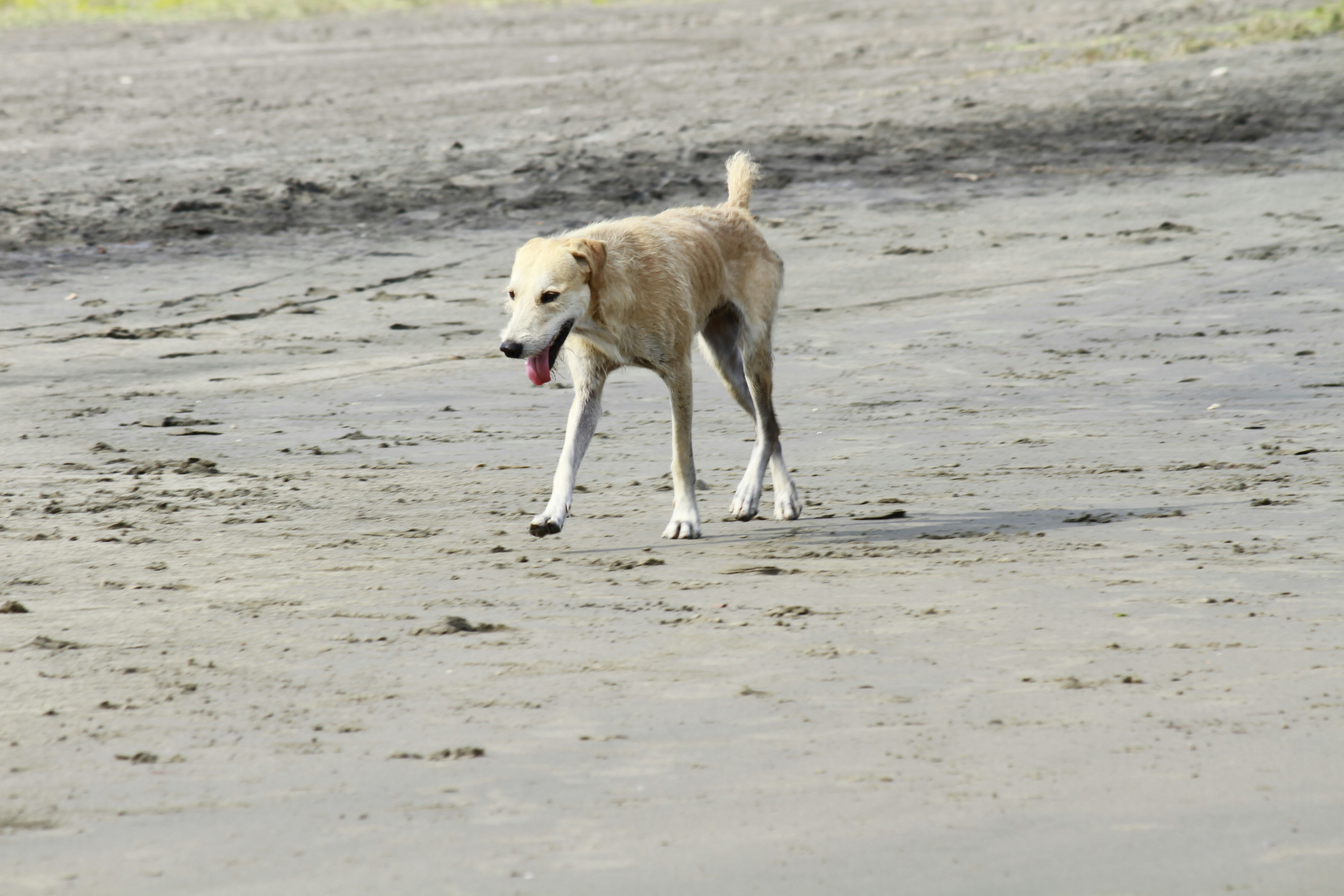 Photo by disfruta_cafe