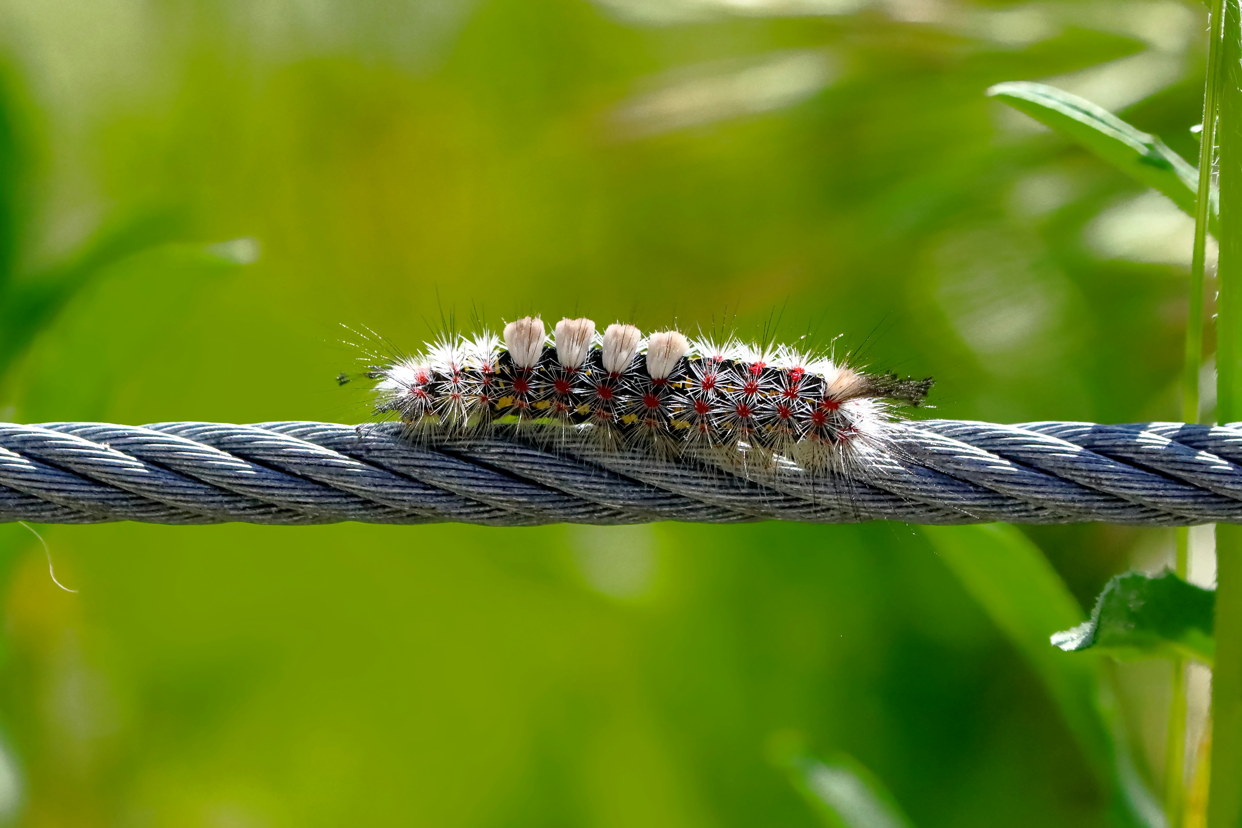 Photo by custombytodd