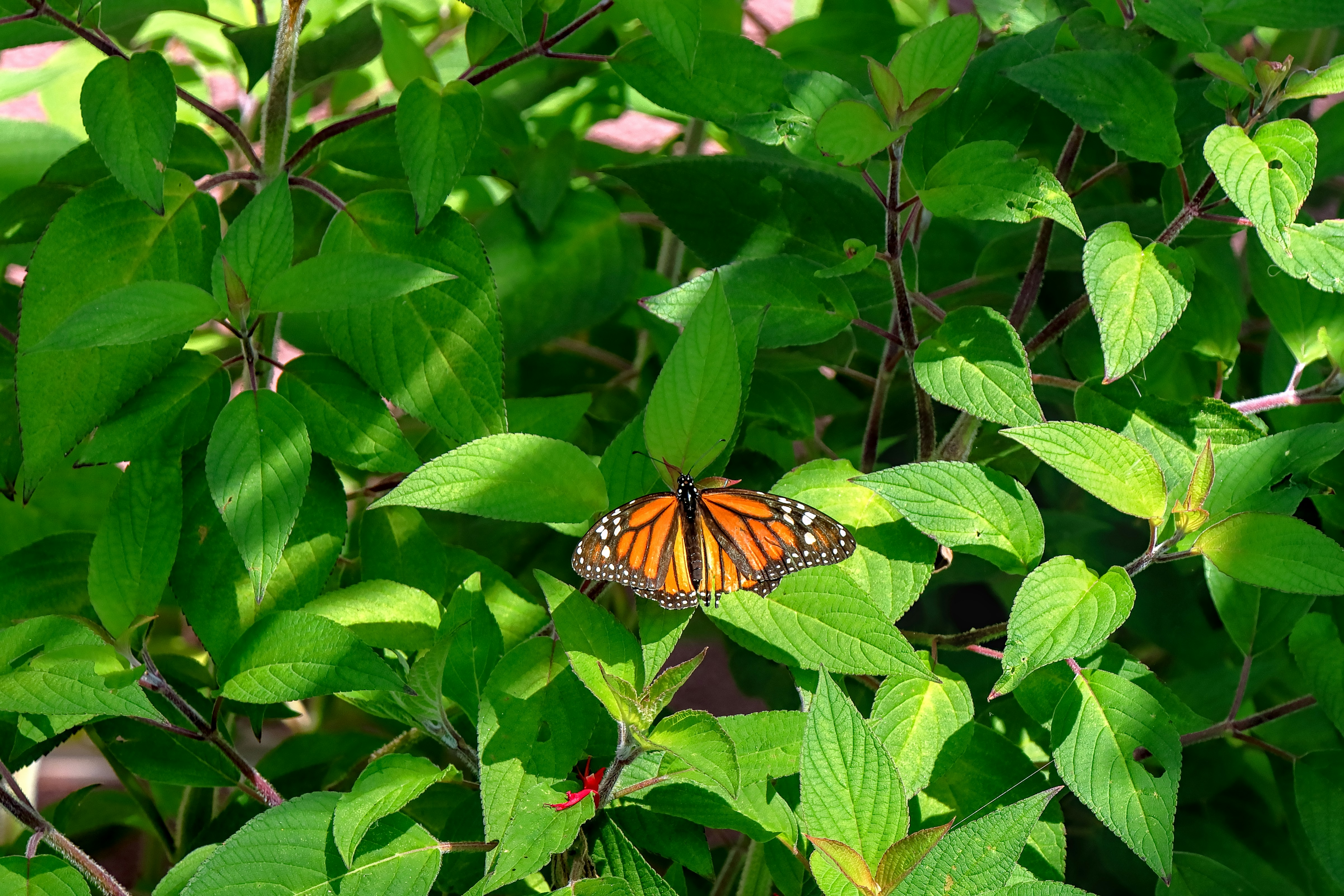 Photo by custombytodd