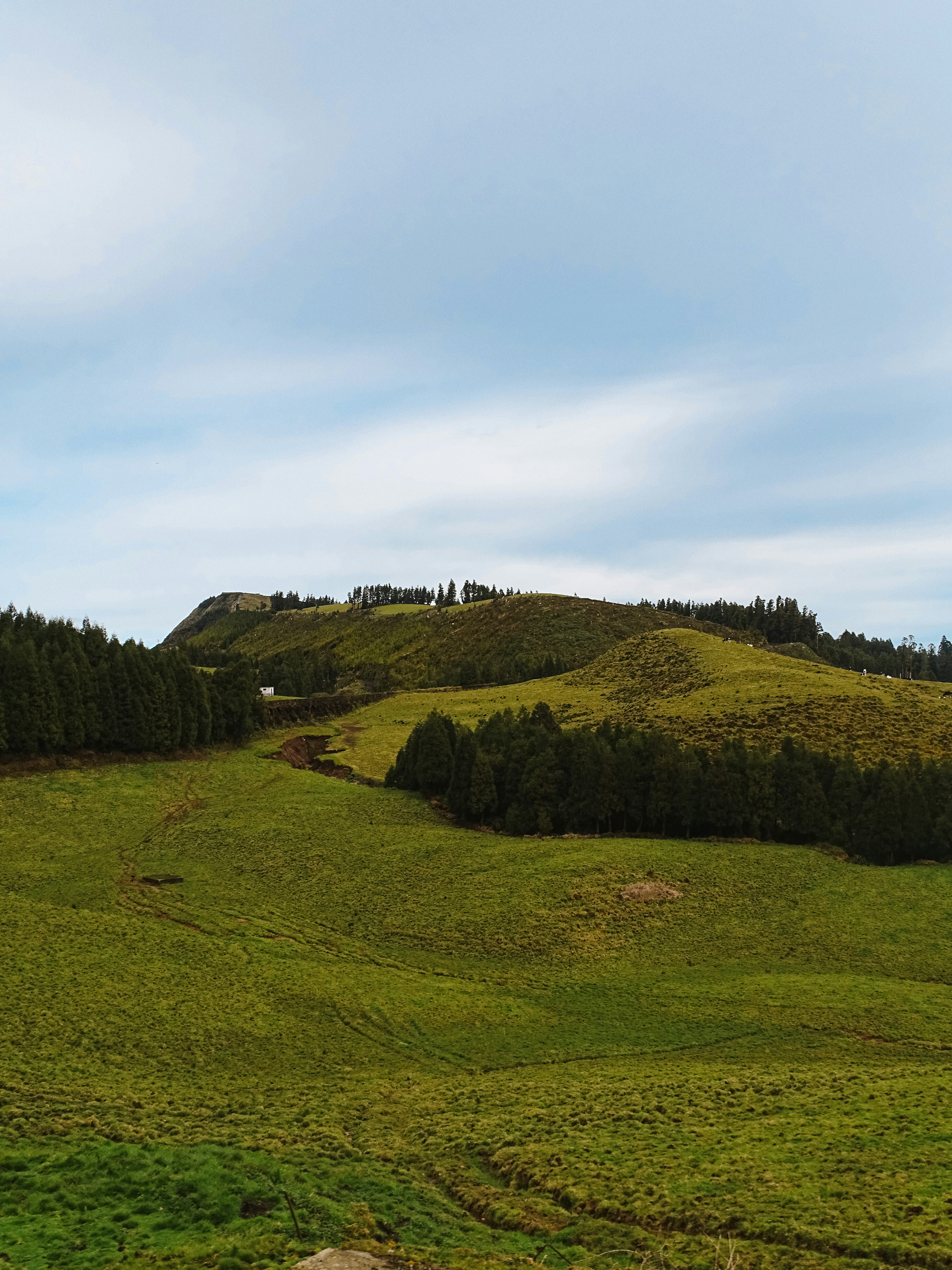 Photo by phozebyzemachado