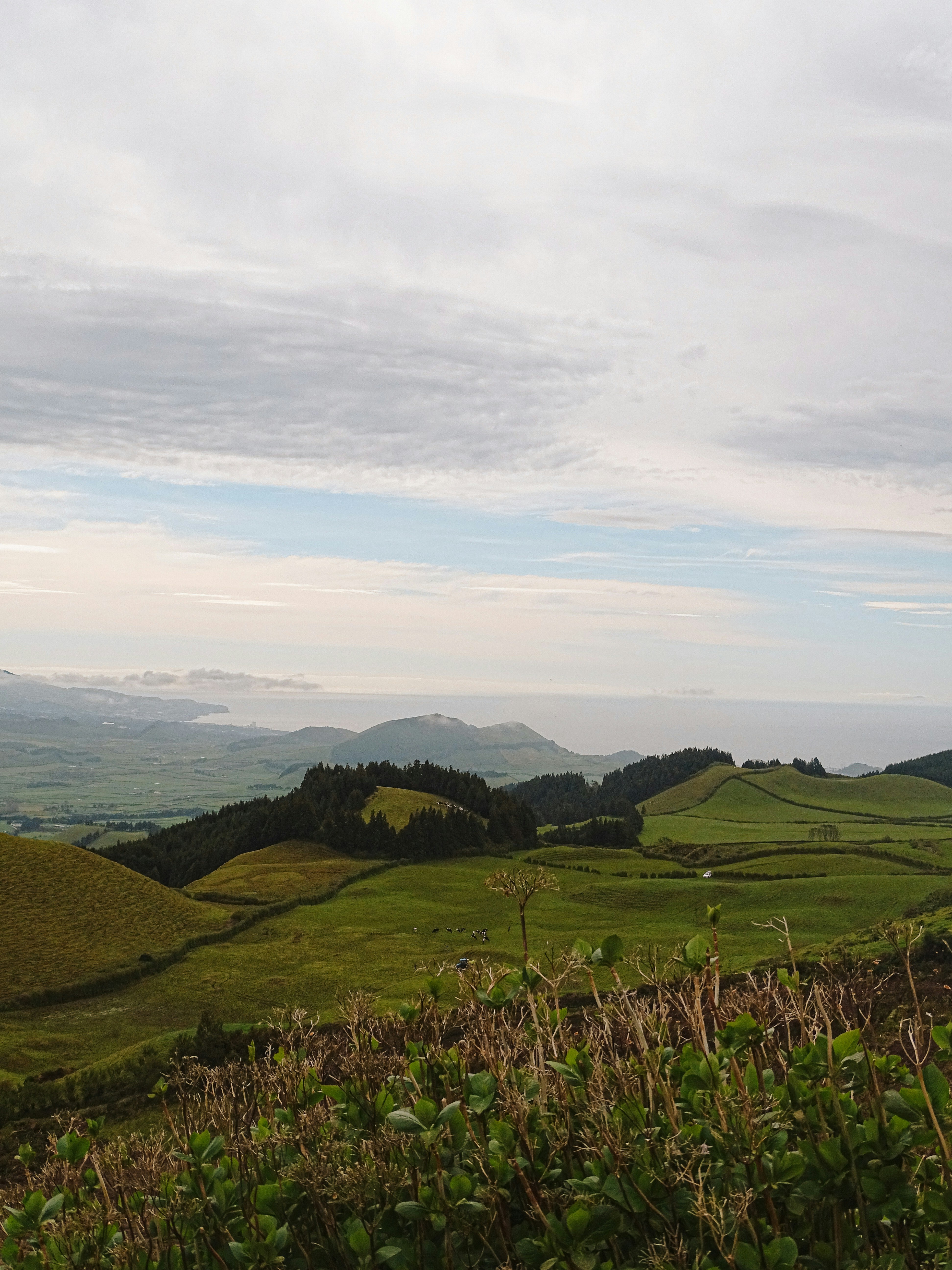 Photo by phozebyzemachado
