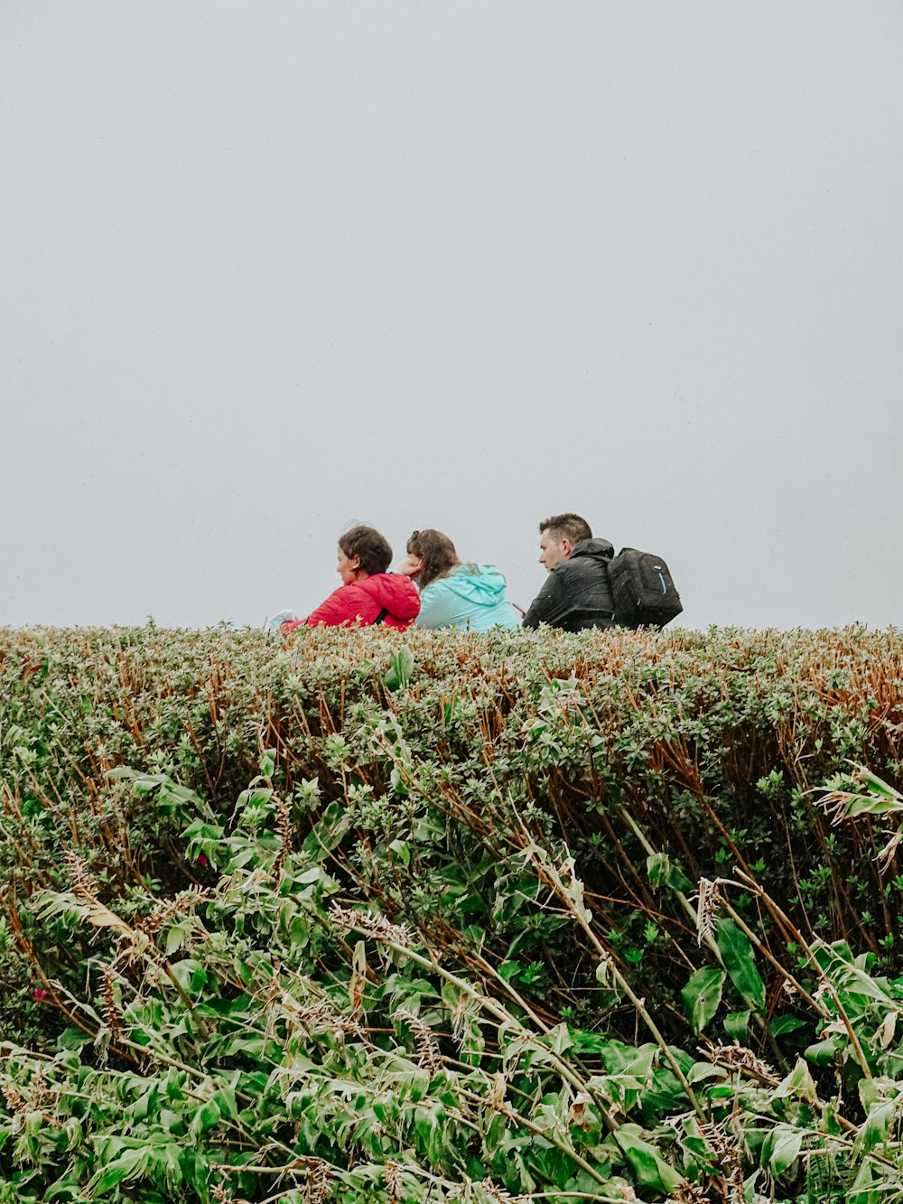 a group of people sitting on top of a lush green field