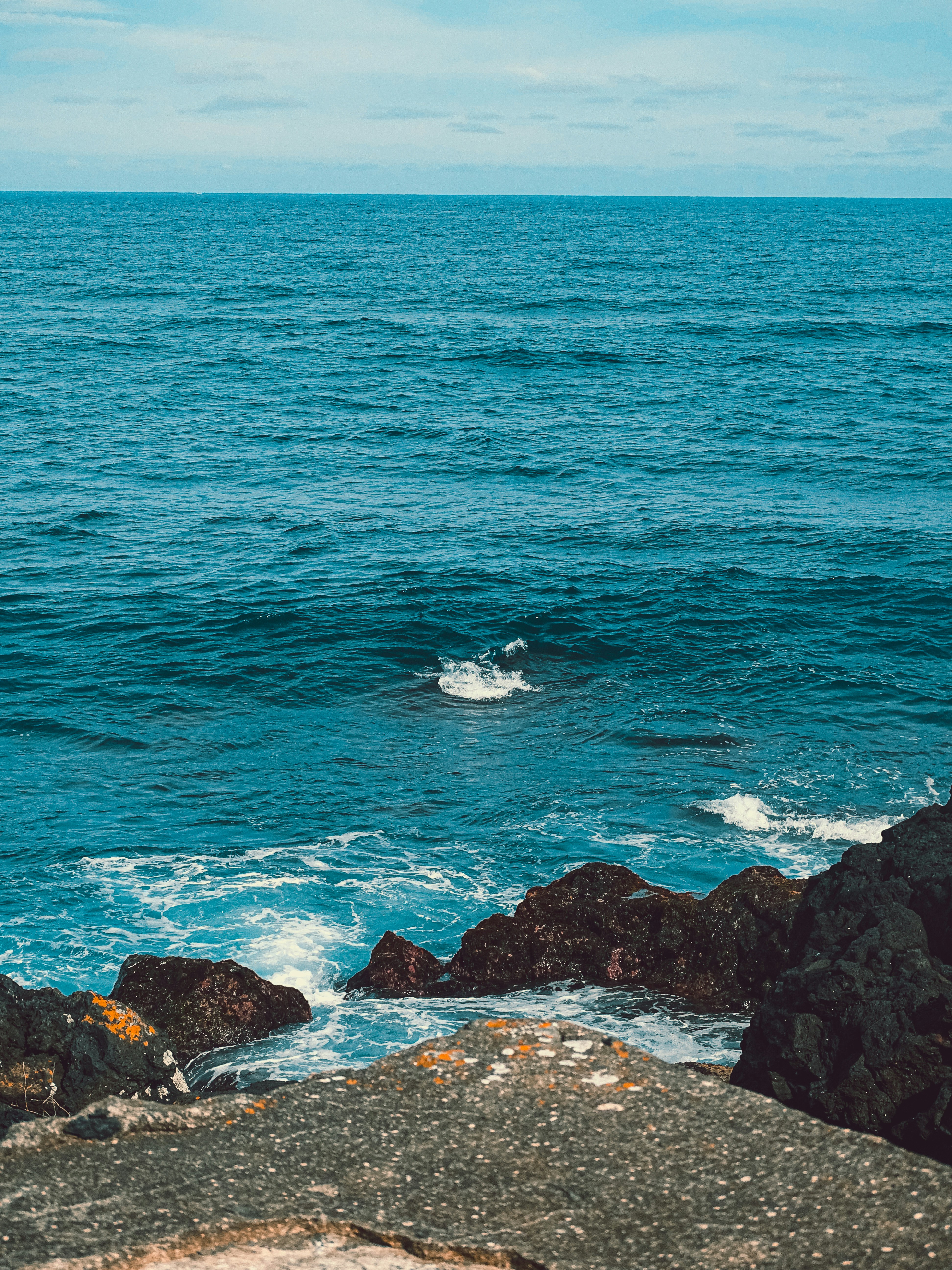 Photo by phozebyzemachado