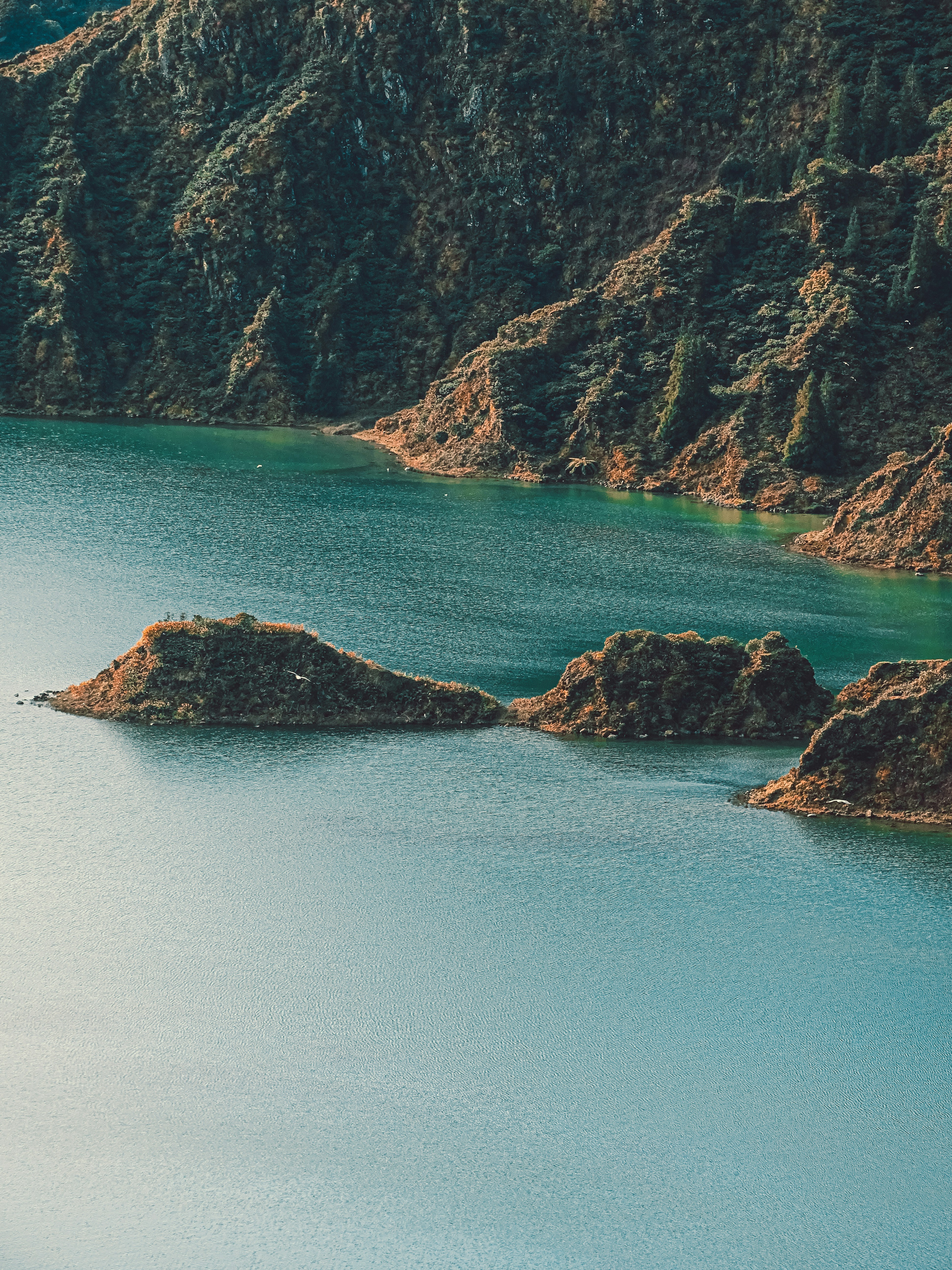 Photo by phozebyzemachado