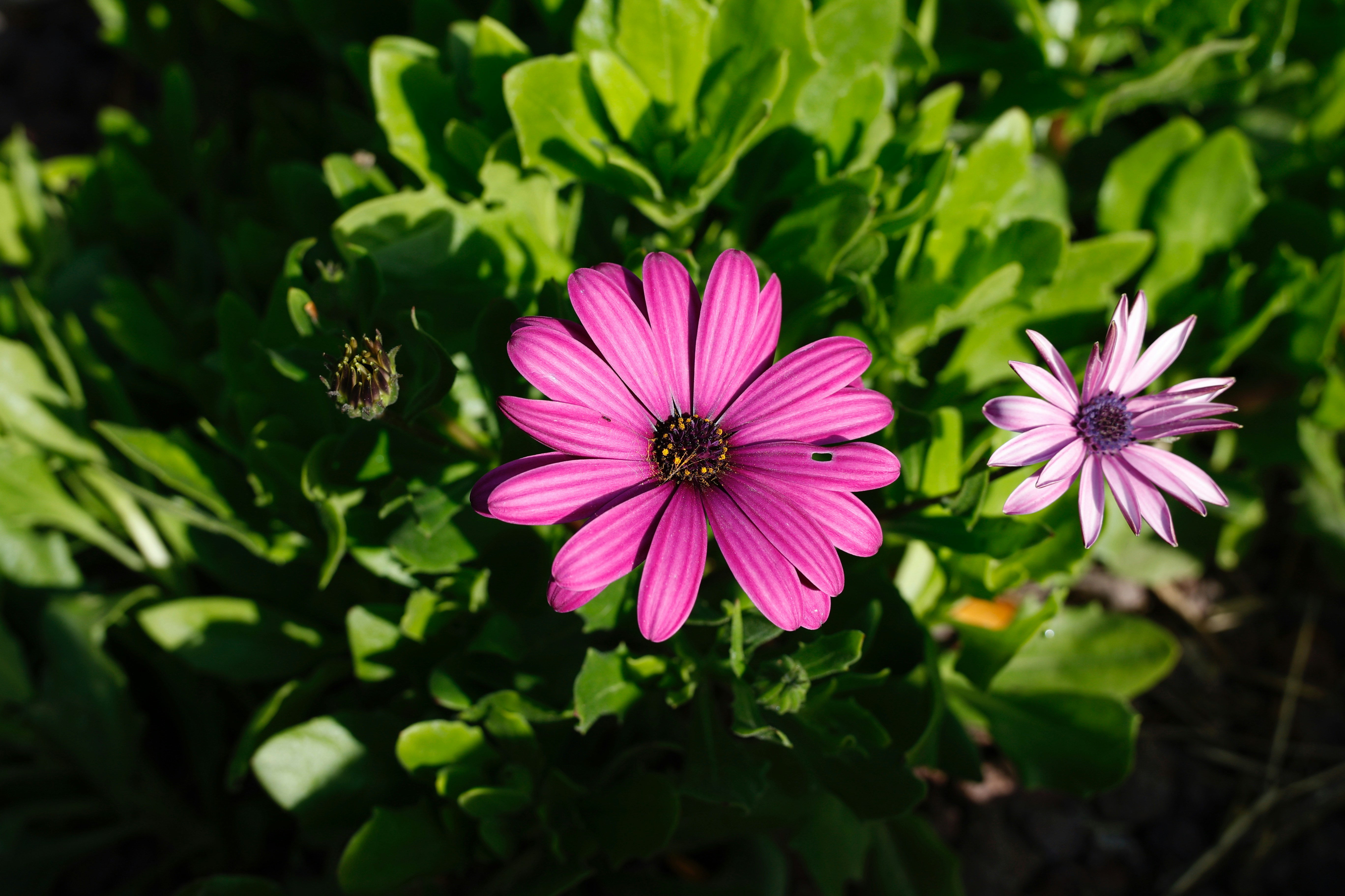 Photo by sandyonmars